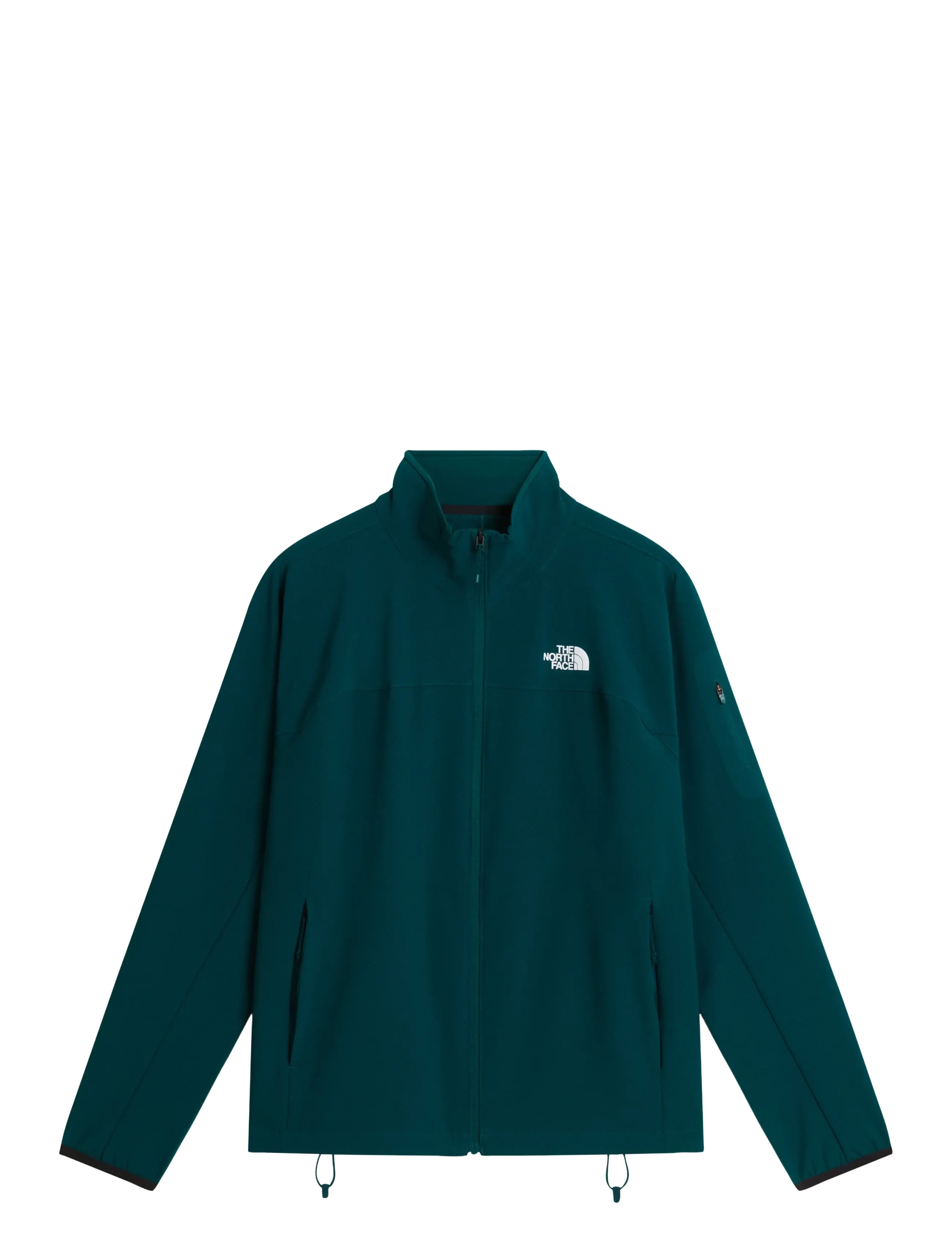 PACIFIC TEAL