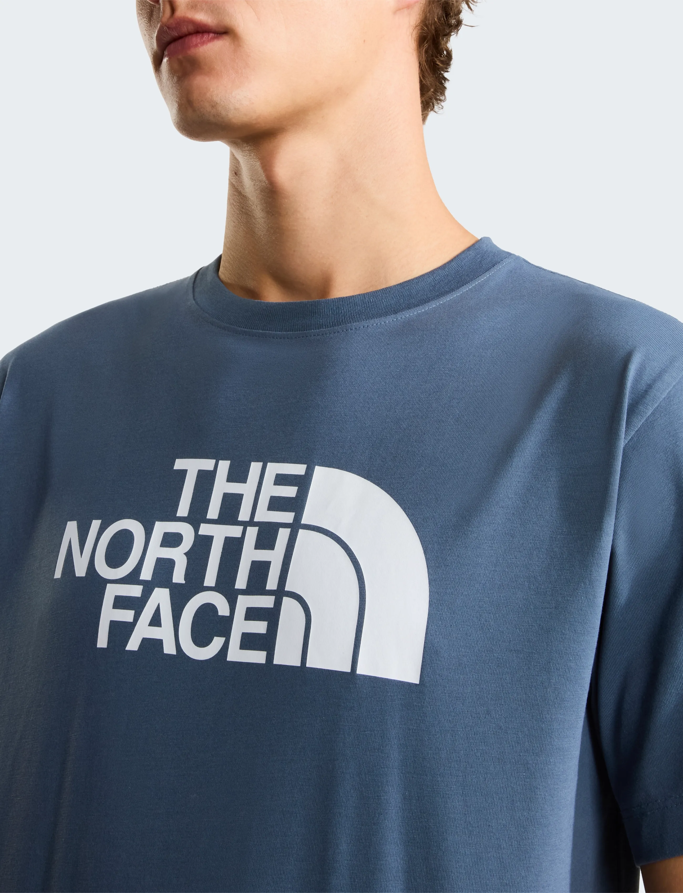 THE NORTH FACE M Evolution Half Dome Regular Short Slee t-shirts - bas herr – bild 5