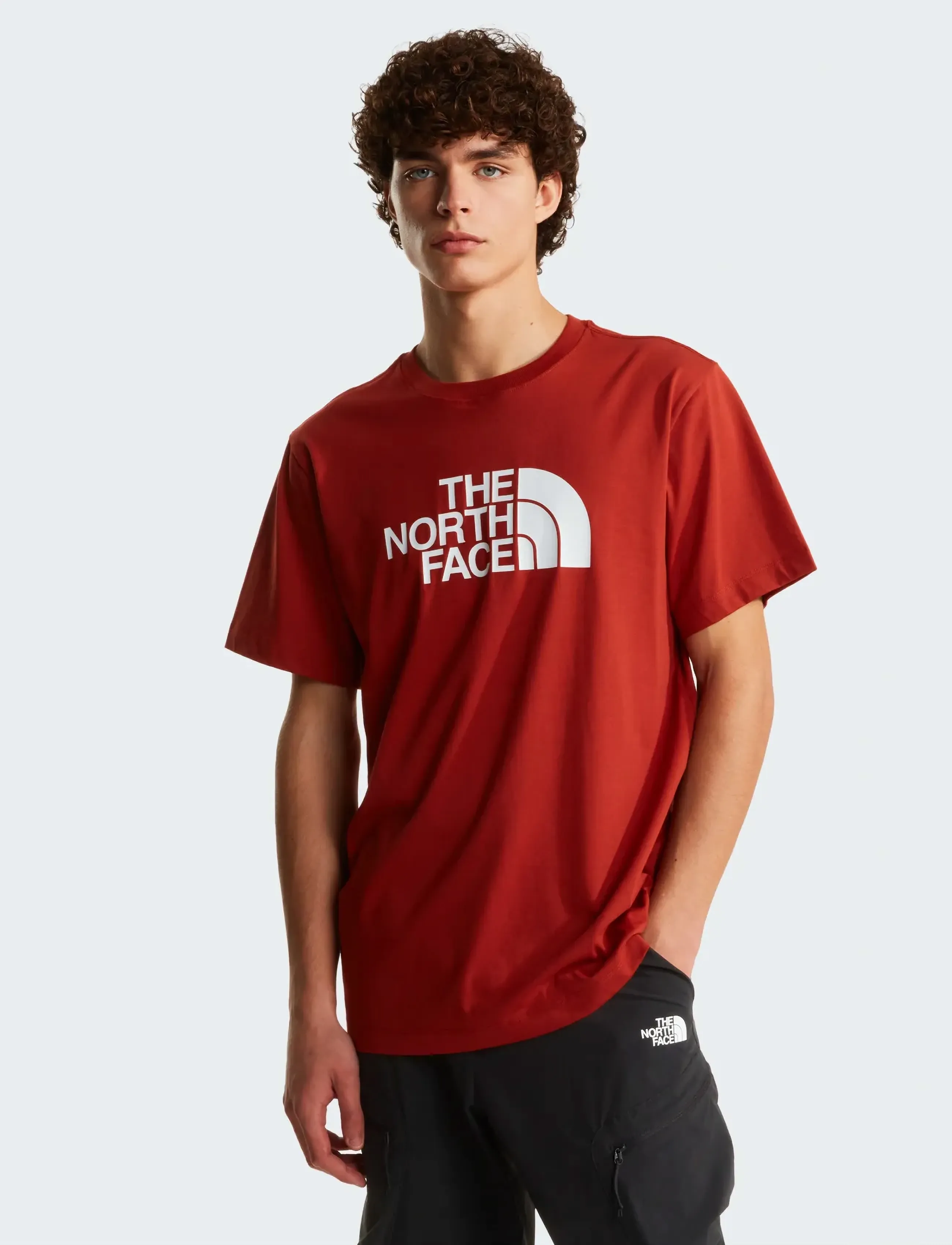 The North Face M EVOLUTION HALF DOME REGULAR SHORT SLEE - T-Shirts - IRON CLAY / red