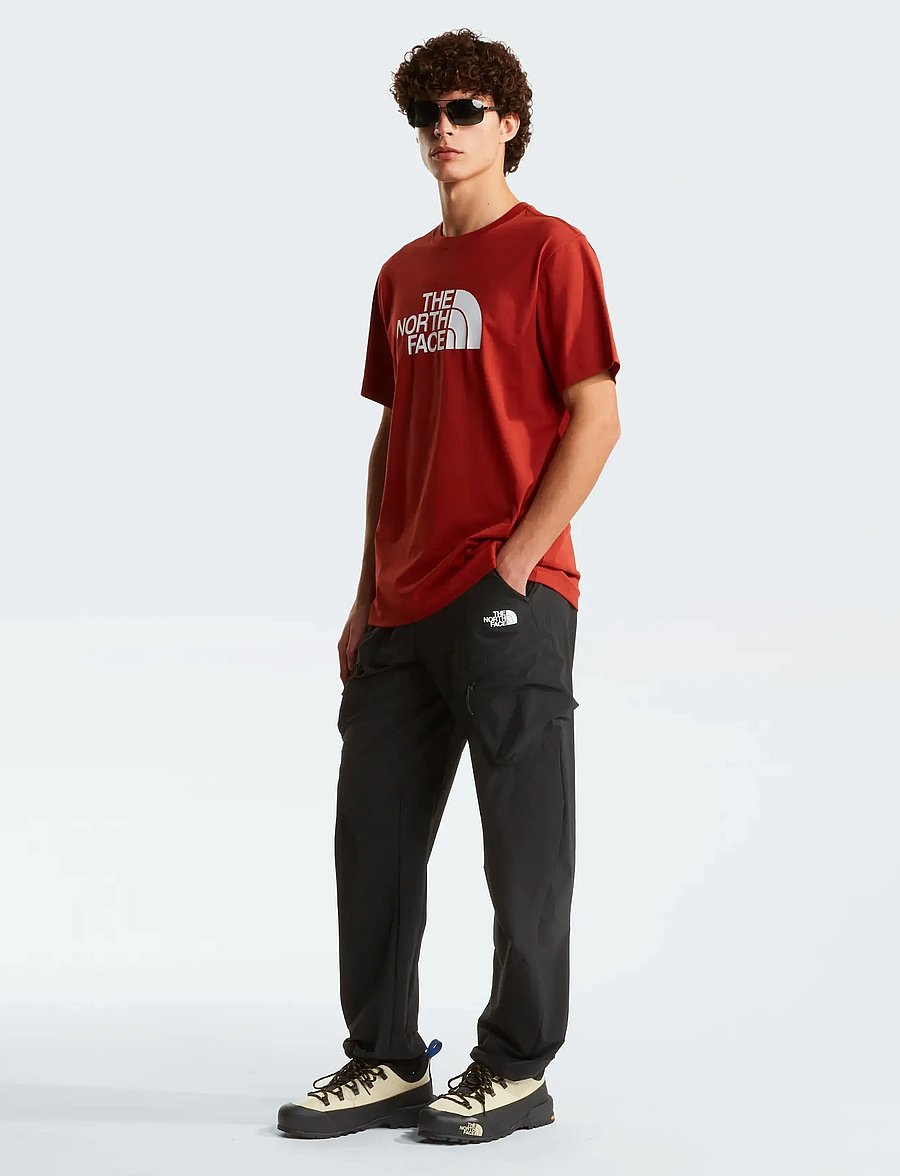 The North Face - M EVOLUTION HALF DOME REGULAR SHORT SLEE - tops & t-shirts - iron clay - 3