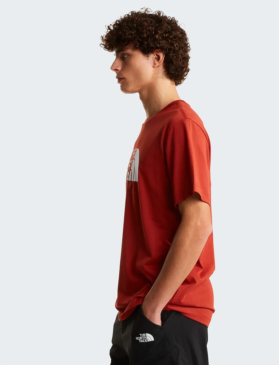 The North Face - M EVOLUTION HALF DOME REGULAR SHORT SLEE - tops & t-shirts - iron clay - 4