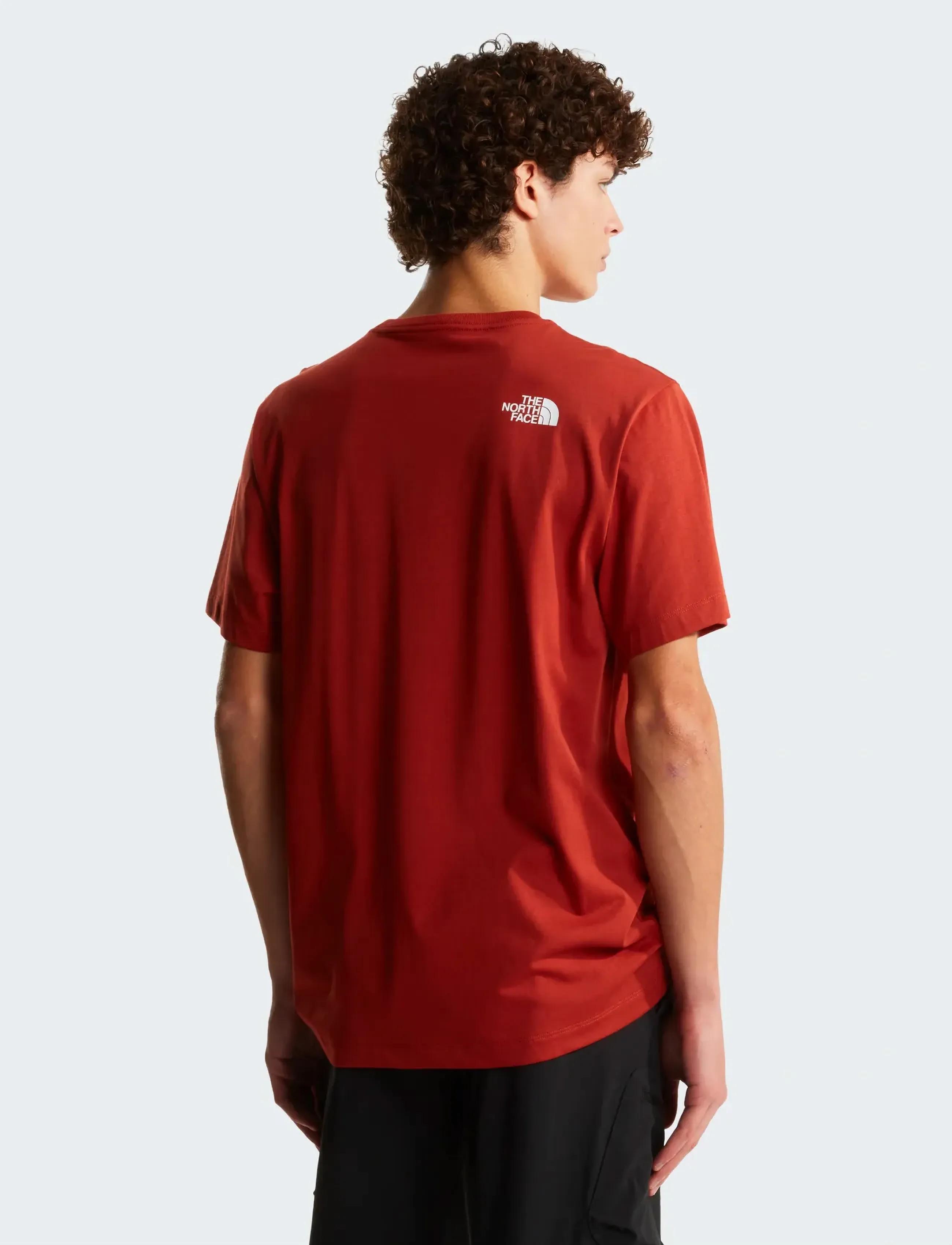 The North Face - M EVOLUTION HALF DOME REGULAR SHORT SLEE - laveste priser - iron clay - 5