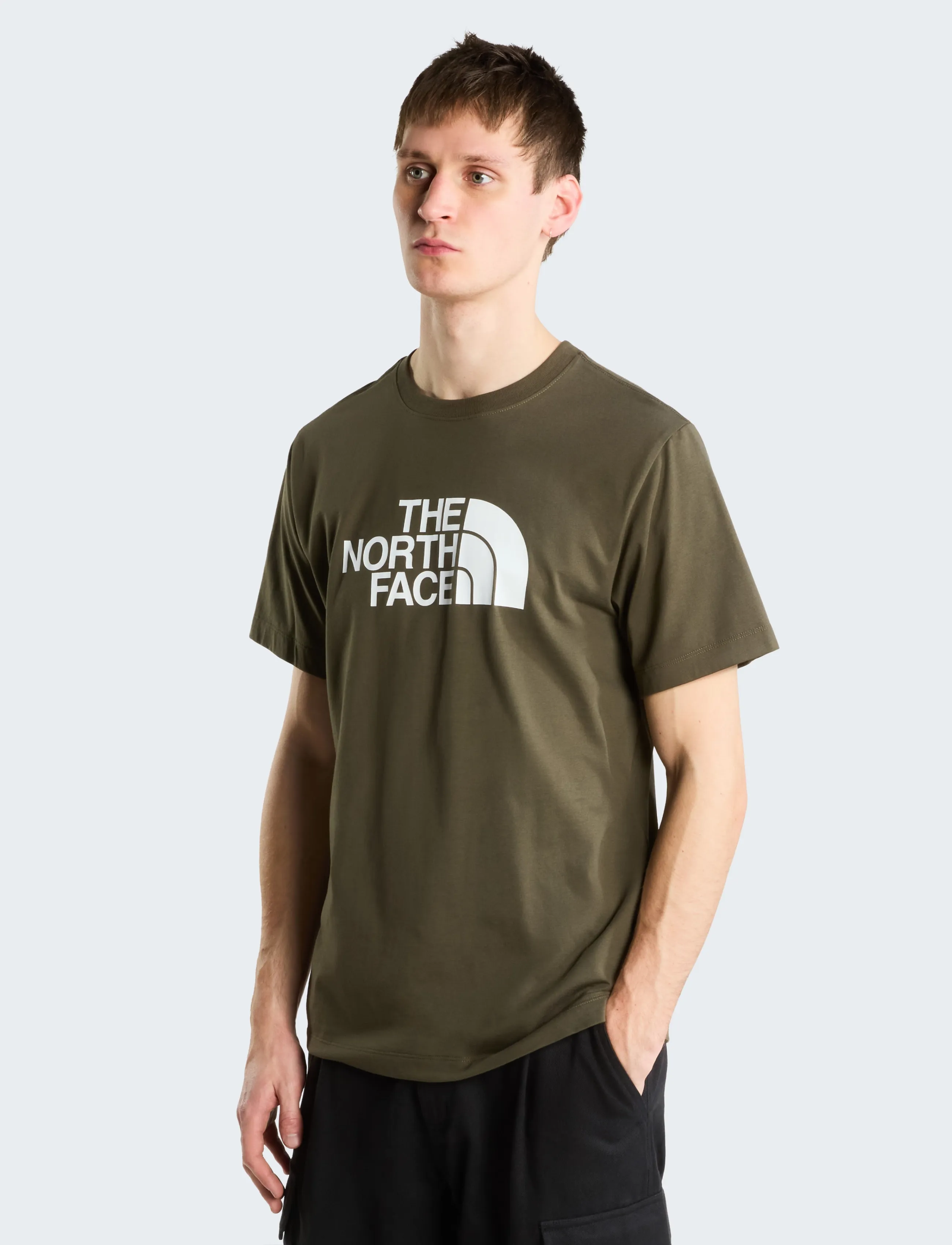 The North Face M EVOLUTION HALF DOME REGULAR SHORT SLEE - T-Shirts - NEW TAUPE GREEN / khaki/green