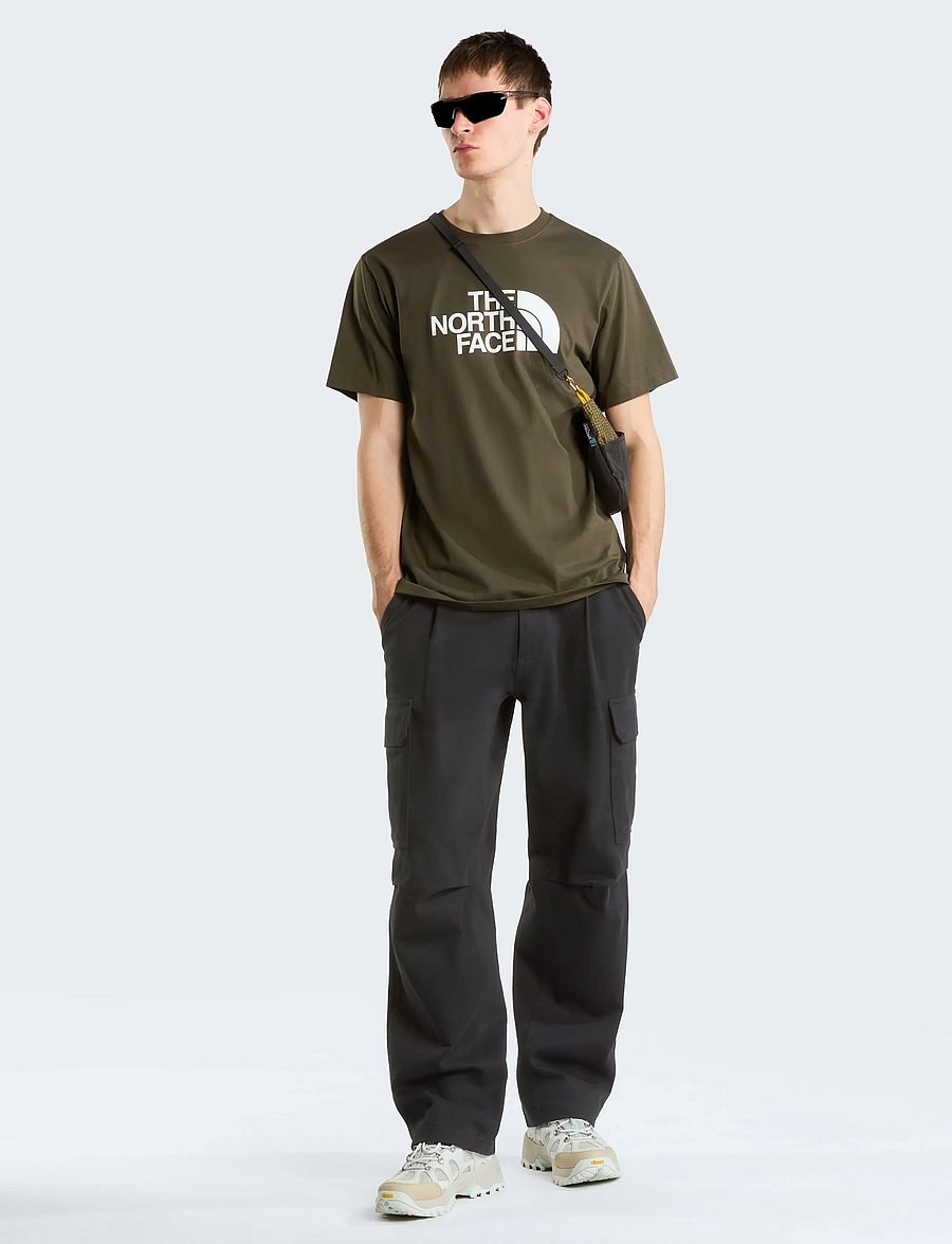 The North Face - M EVOLUTION HALF DOME REGULAR SHORT SLEE - tops & t-shirts - new taupe green - 3