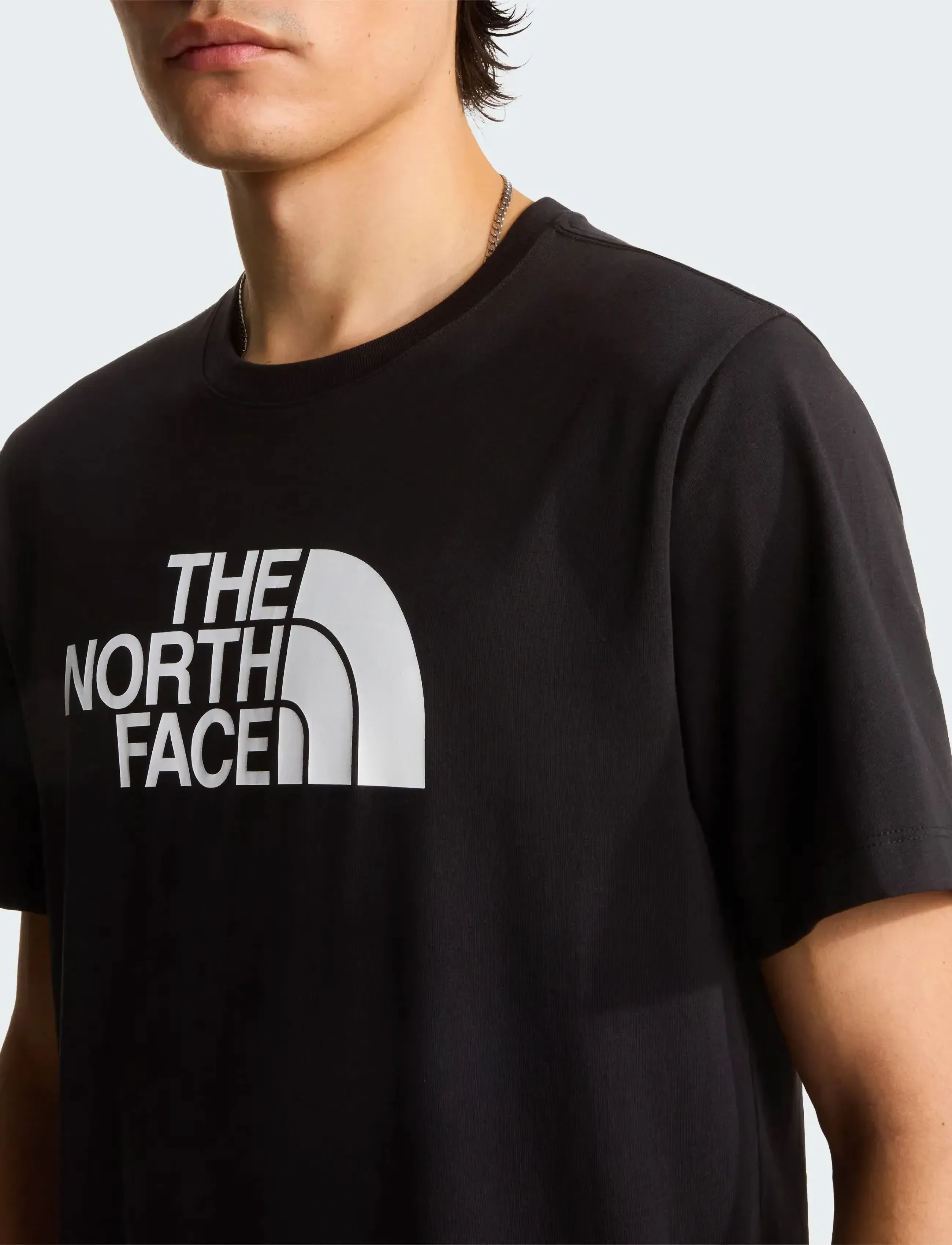 THE NORTH FACE M Evolution Half Dome Regular Short Slee t-shirts - bas herr – bild 5