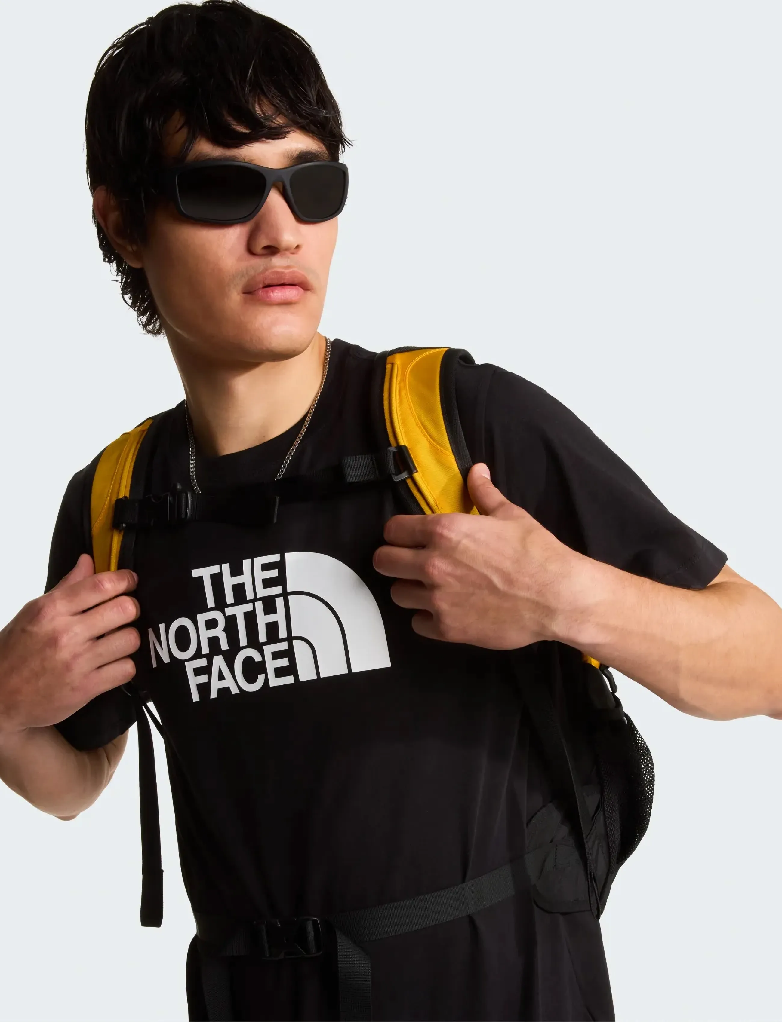 The North Face M EVOLUTION HALF DOME REGULAR SHORT SLEE - T-särgid - TNF BLACK/TNF WHITE / black