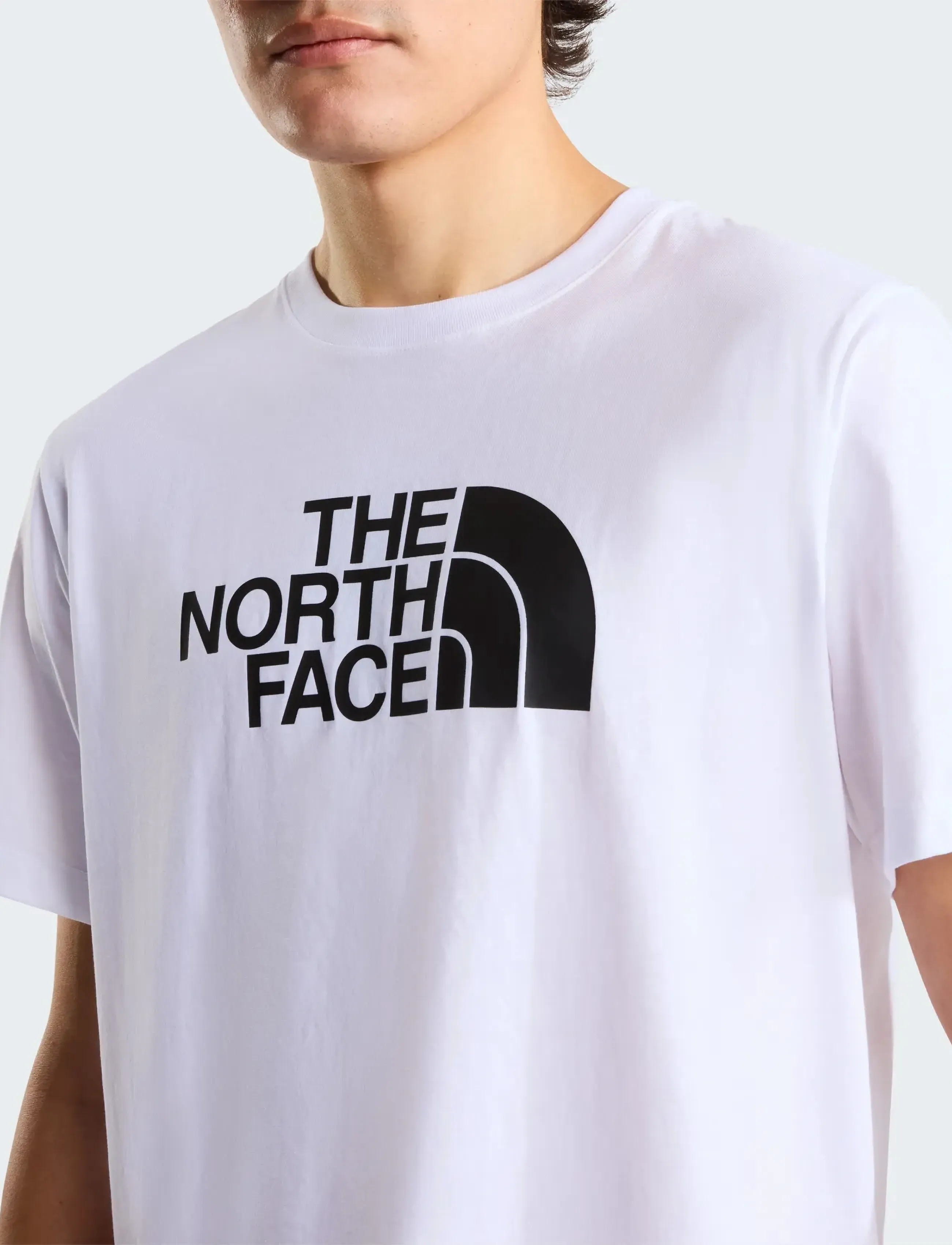 THE NORTH FACE M Evolution Half Dome Regular Short Slee t-shirts - bas herr – bild 5