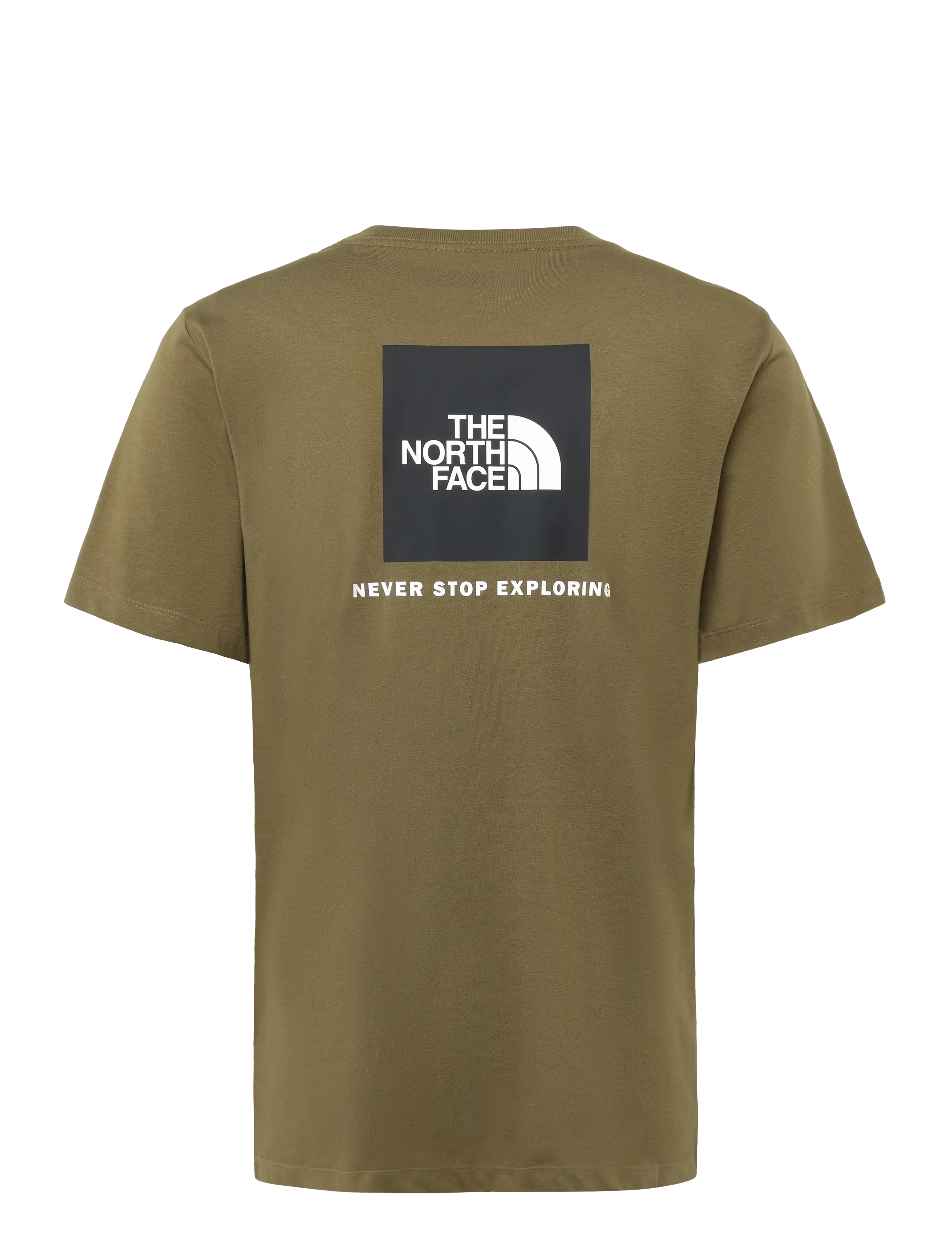 The North Face - M EVOLUTION BOX NSE REGULAR SHORT SLEEVE - oberteile & t-shirts - caraway seed - 2