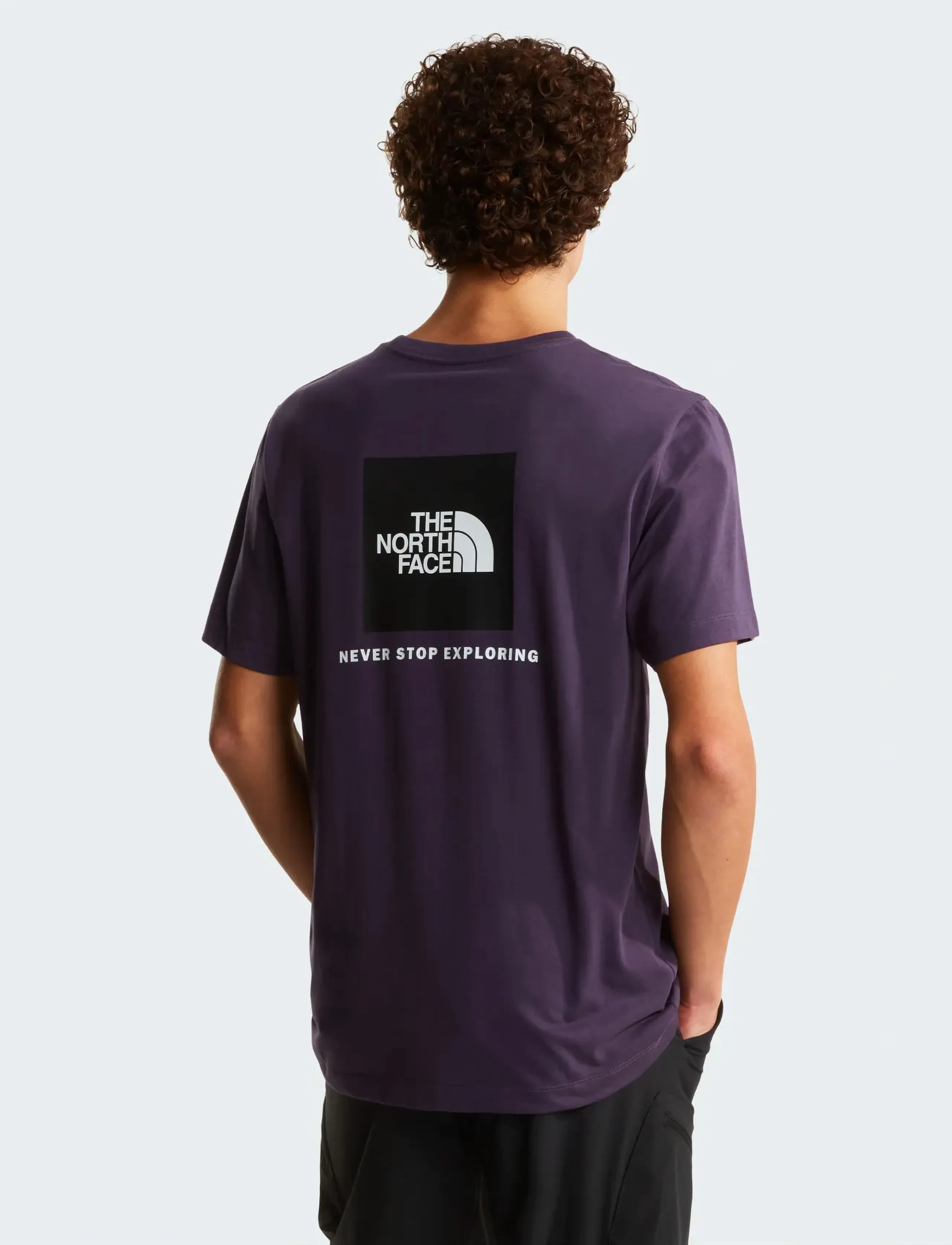 The North Face M EVOLUTION BOX NSE REGULAR SHORT SLEEVE - T-Shirts - ENDLESS DUSK / purple