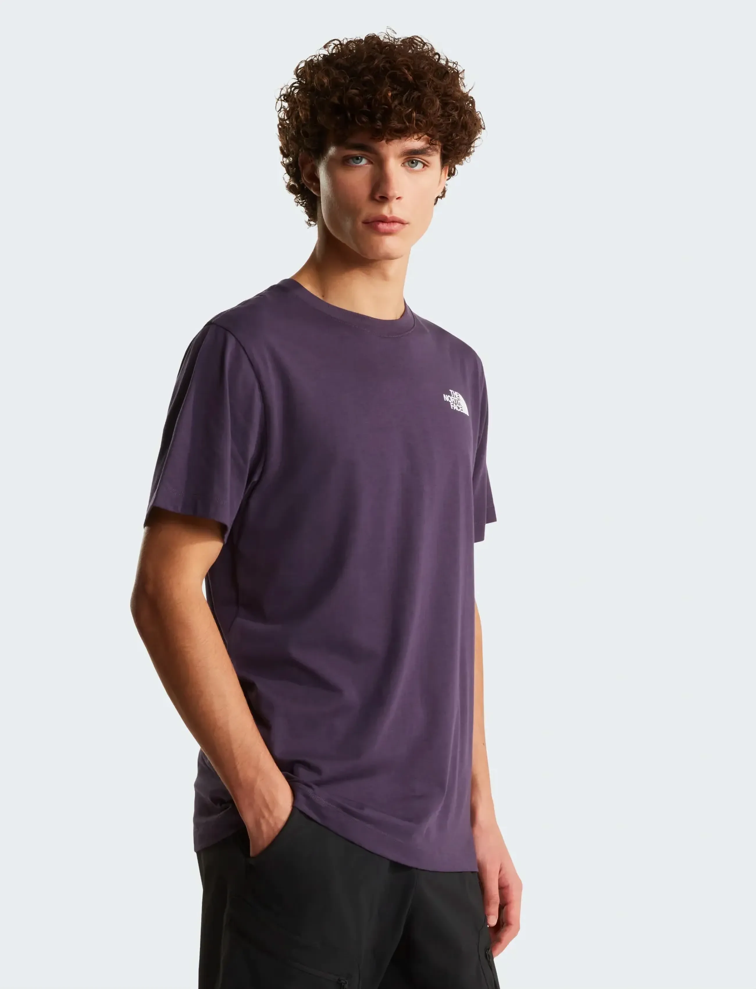 The North Face - M EVOLUTION BOX NSE REGULAR SHORT SLEEVE - oberteile & t-shirts - endless dusk - 3
