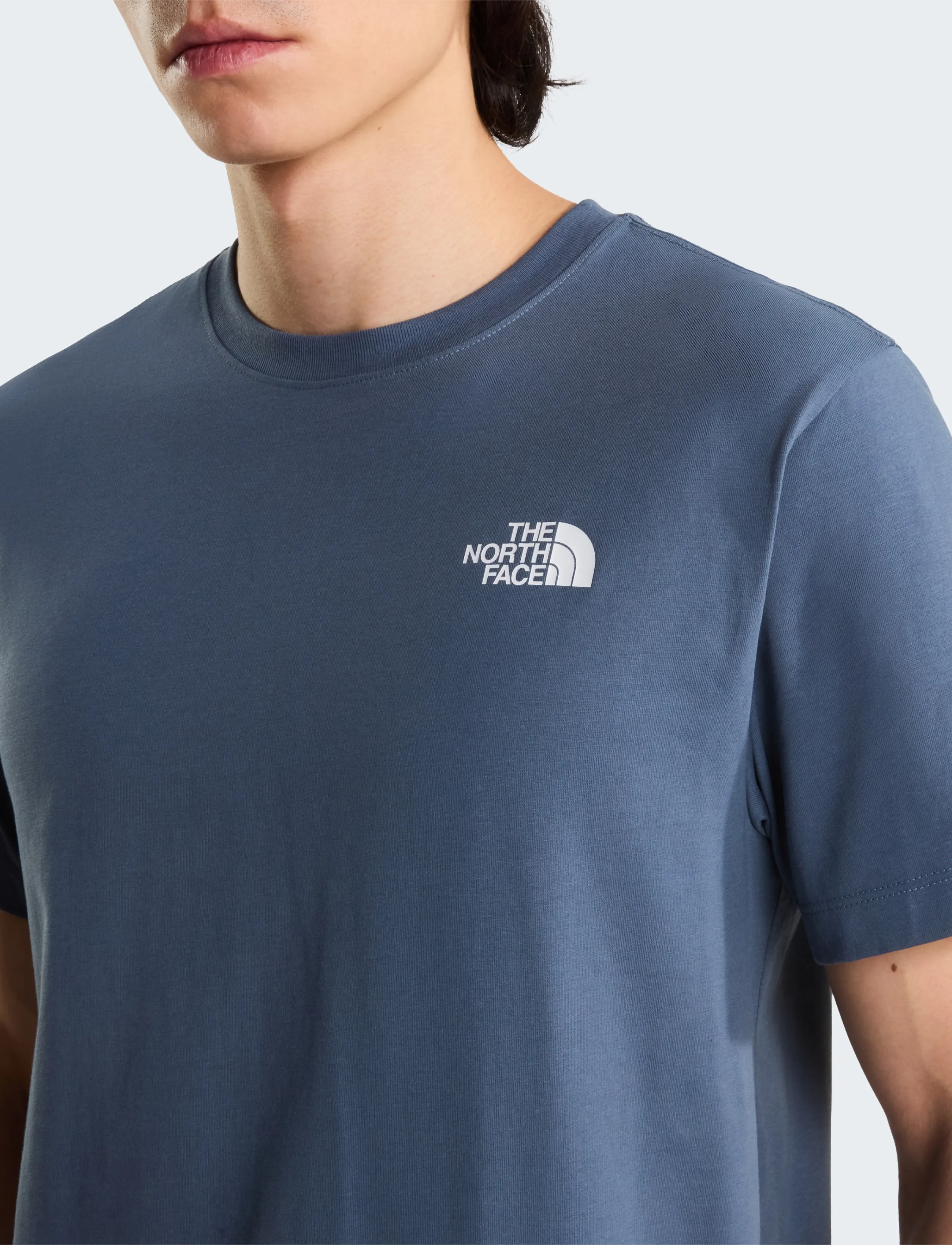 THE NORTH FACE M Evolution Box Nse Regular Short Sleeve t-shirts herr – bild 6