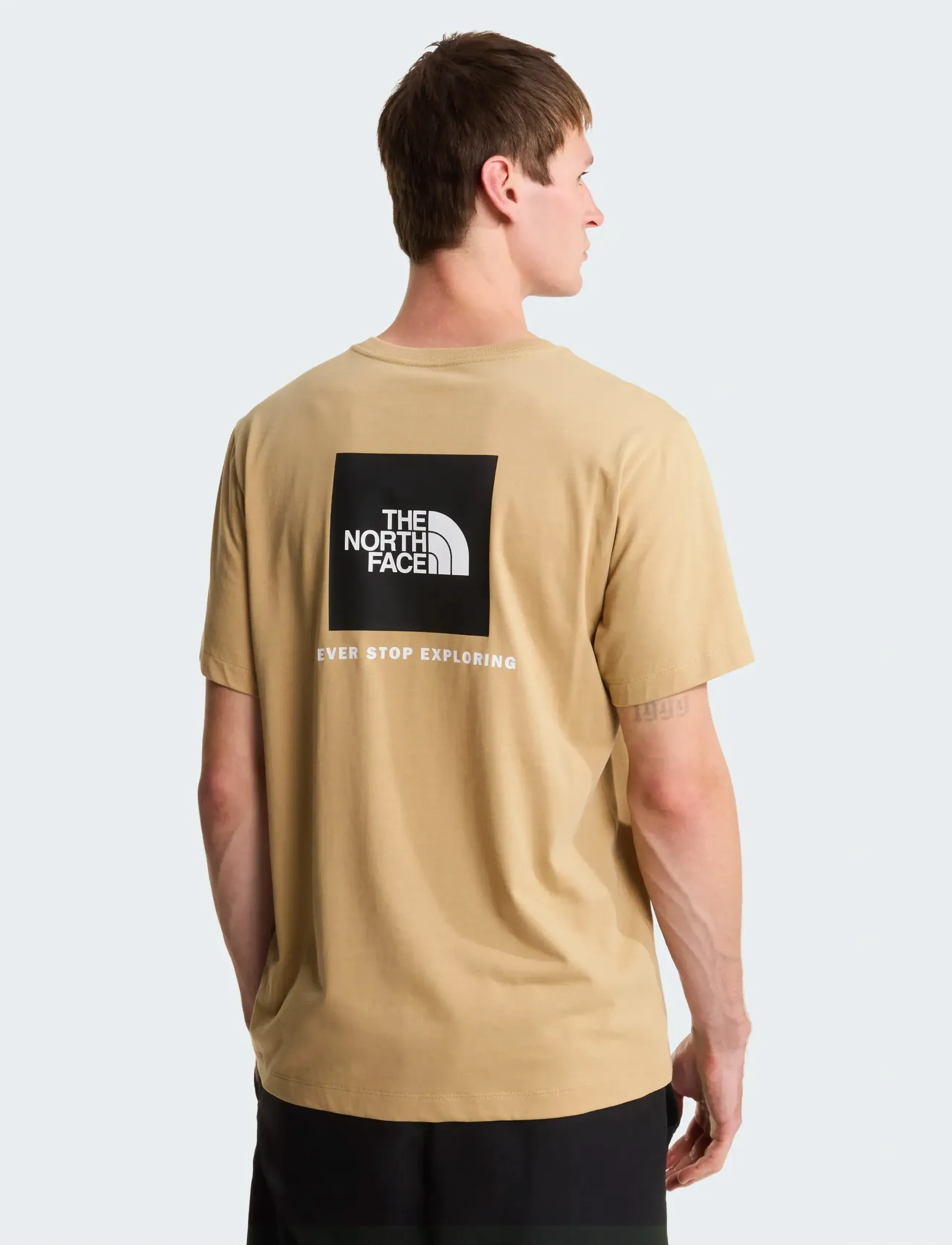 The North Face M EVOLUTION BOX NSE REGULAR SHORT SLEEVE - T-shirts - KHAKI STONE / beige