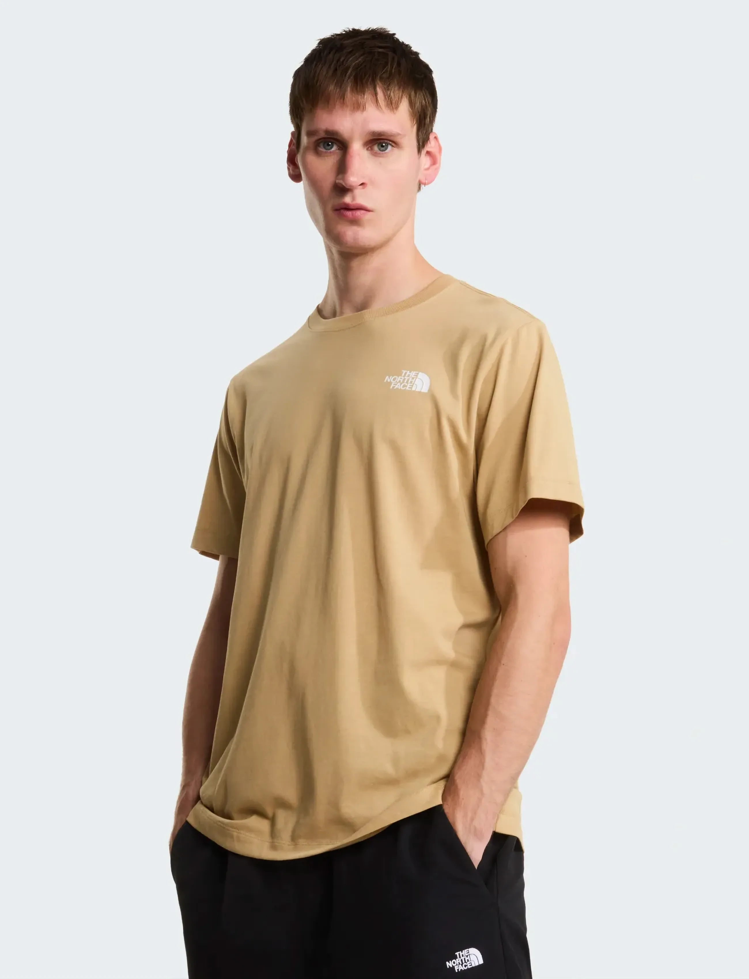 The North Face - M EVOLUTION BOX NSE REGULAR SHORT SLEEVE - oberteile & t-shirts - khaki stone - 3