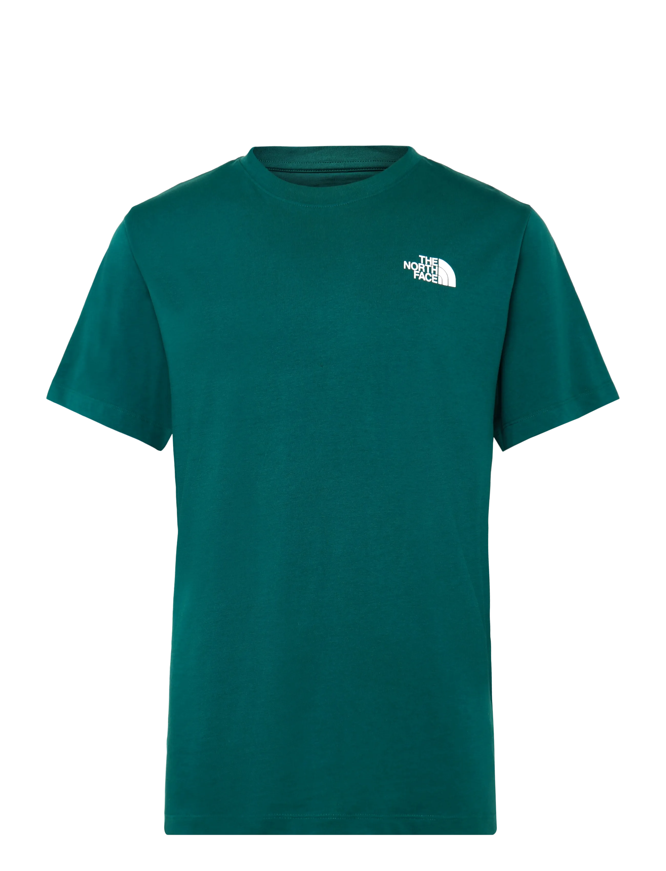 The North Face - M EVOLUTION BOX NSE REGULAR SHORT SLEEVE - t-shirts - pacific teal - 1