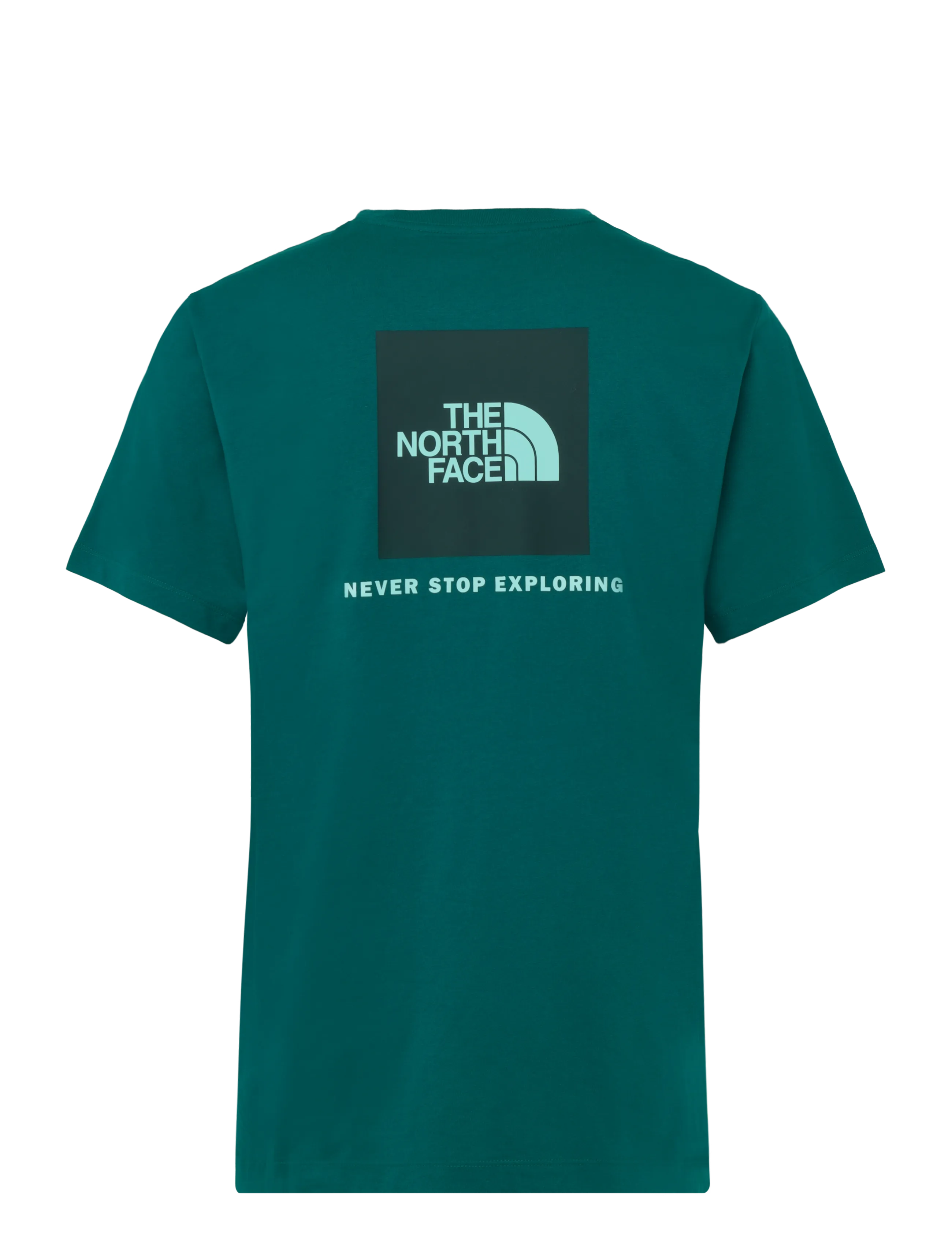 The North Face - M EVOLUTION BOX NSE REGULAR SHORT SLEEVE - t-shirts - pacific teal - 2