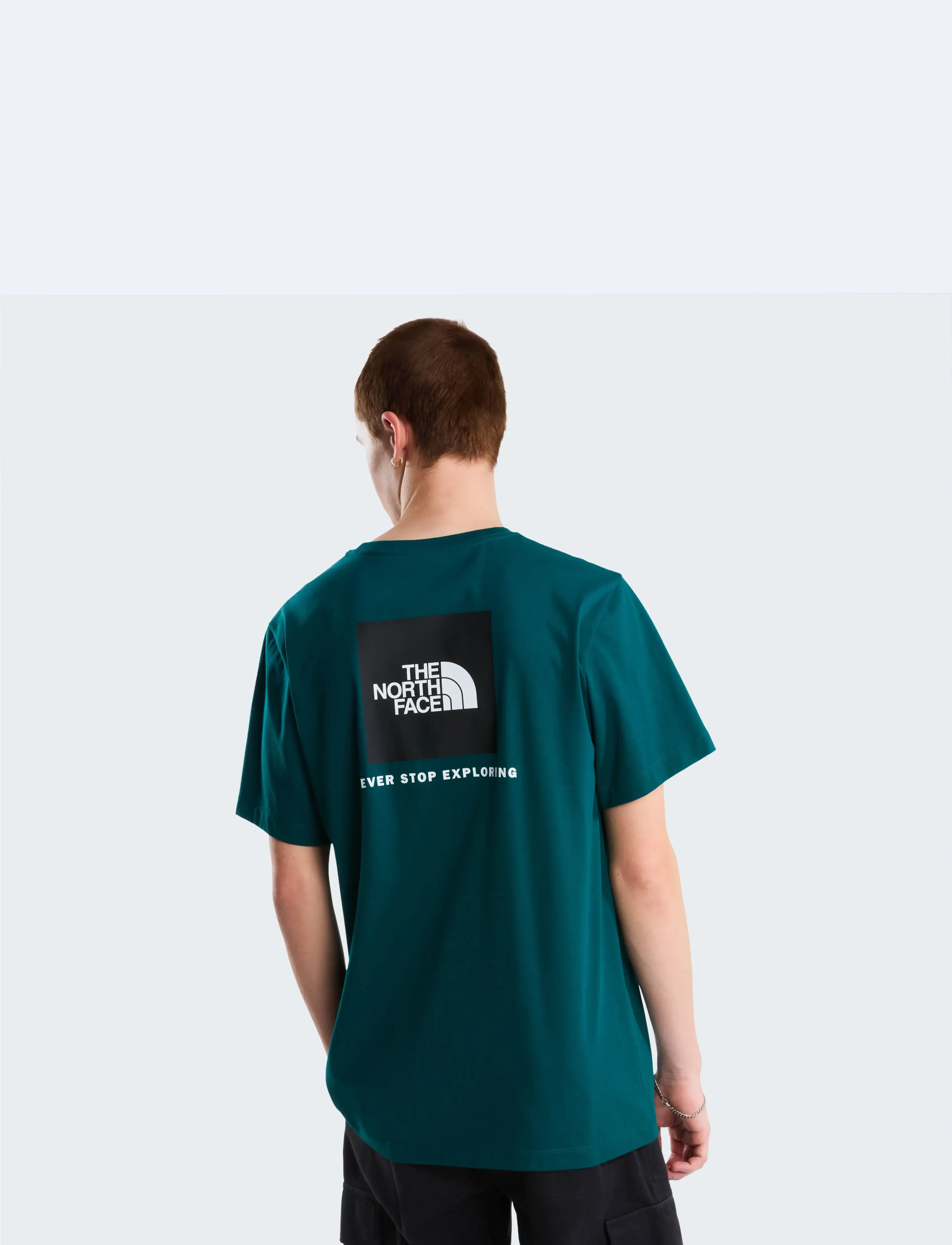 The North Face M EVOLUTION BOX NSE REGULAR SHORT SLEEVE - T-shirts - PACIFIC TEAL / green