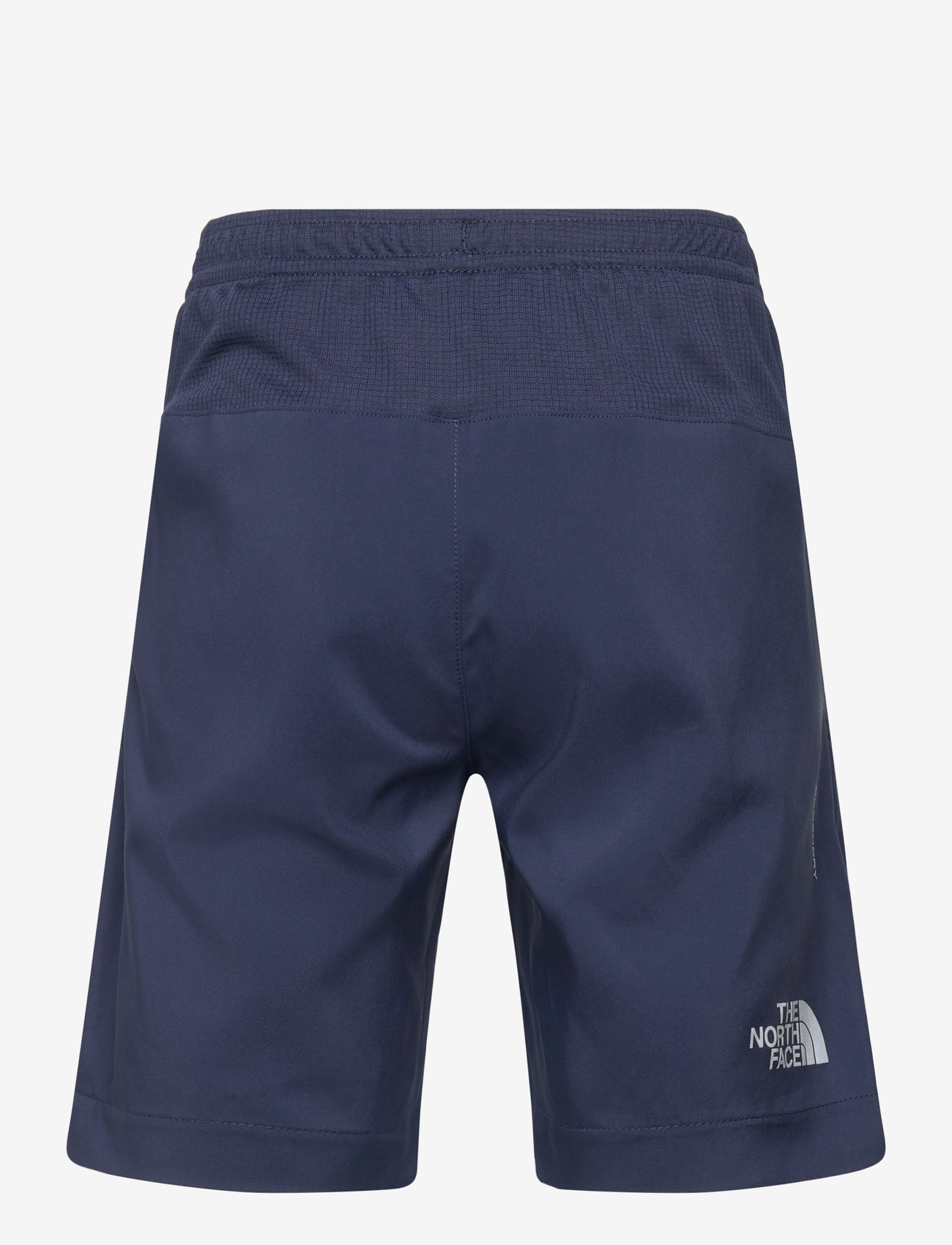 The North Face - TEEN 24/7 SHORT - sport shorts - summit navy - 2