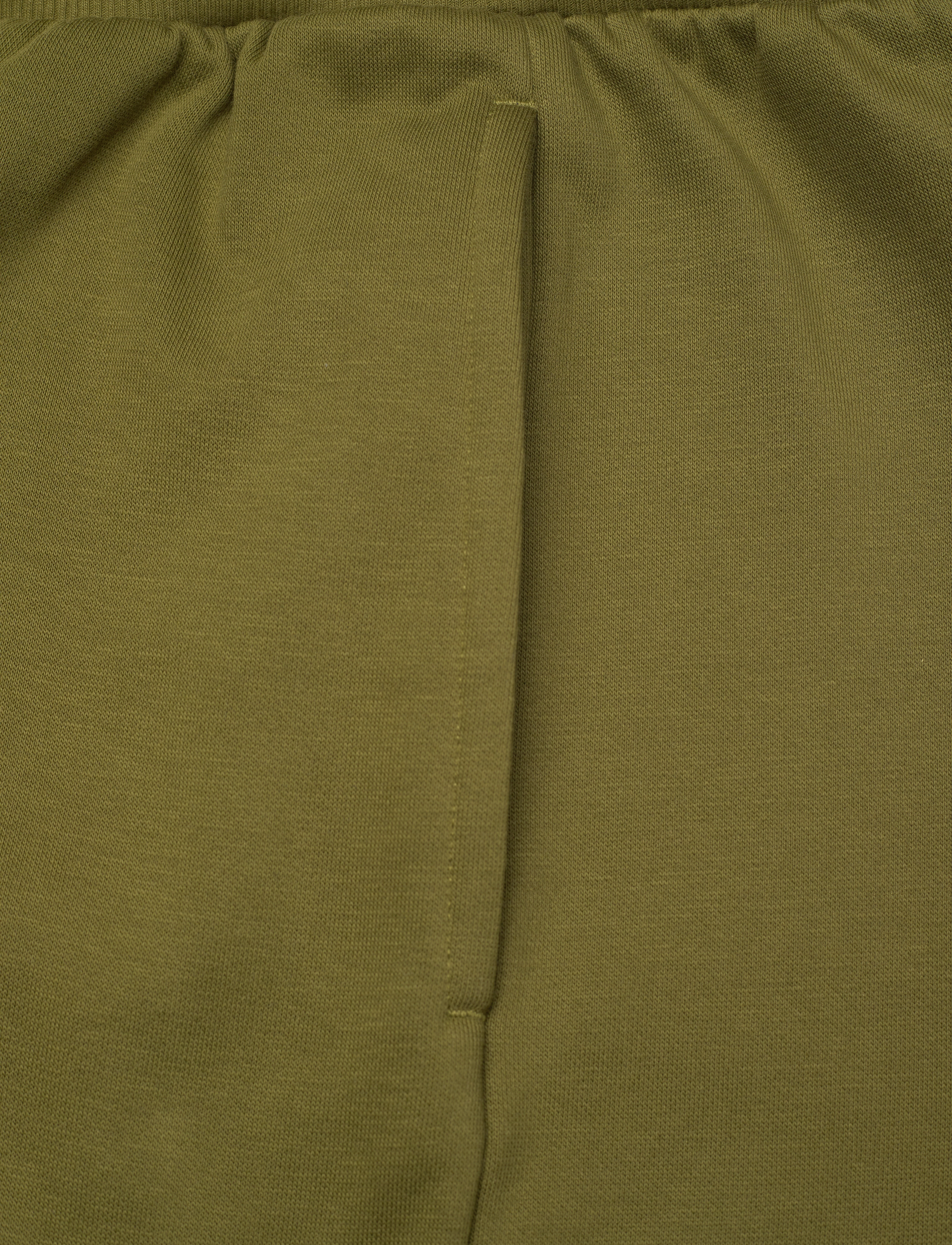 The North Face - M EASY REGULAR SHORT - sweatshorts - forest olive - 5