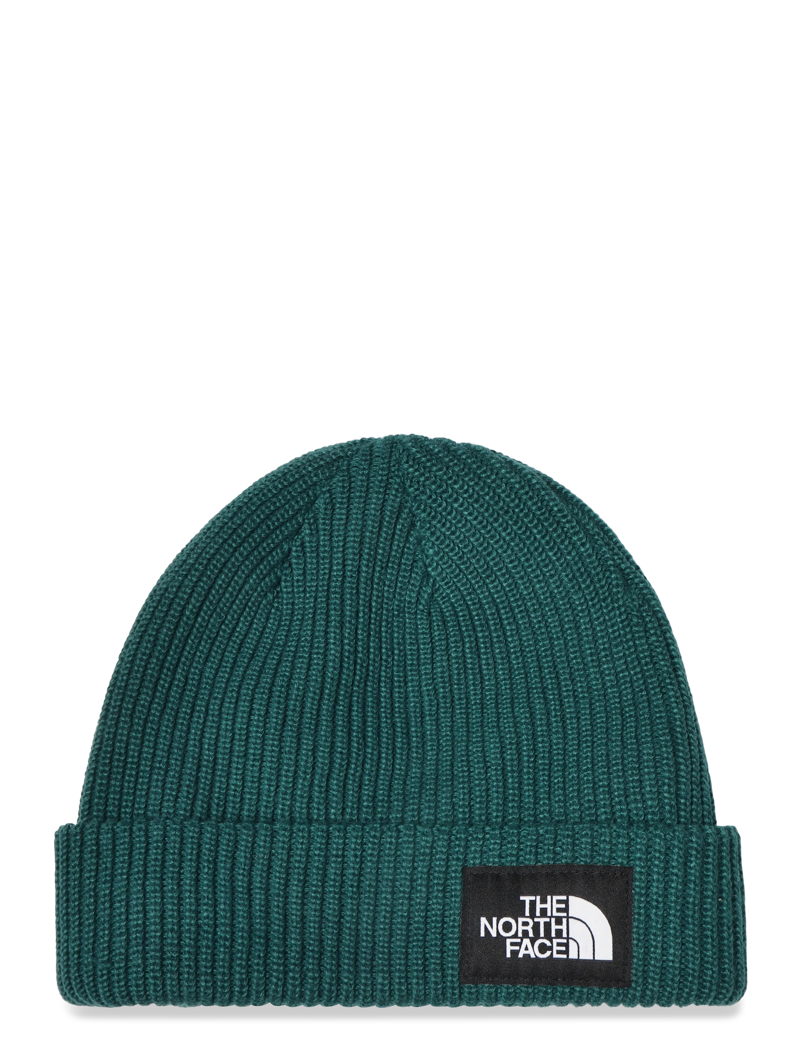 The North Face SALTY LINED BEANIE - Accessories - PACIFIC TEAL / green