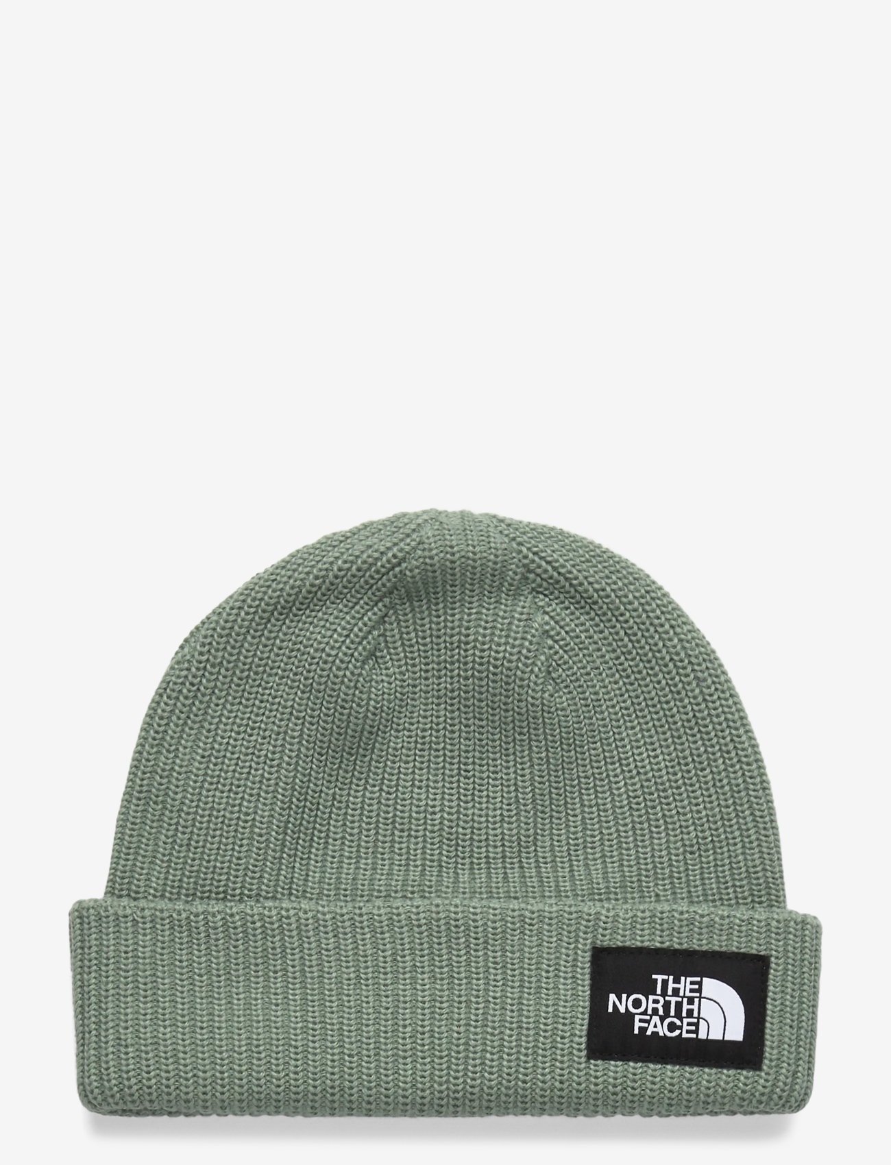 The North Face - SALTY LINED BEANIE - madalaimad hinnad - slate moss - 0