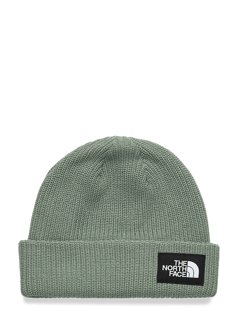 The North Face - SALTY LINED BEANIE - kapelusze - slate moss - 0