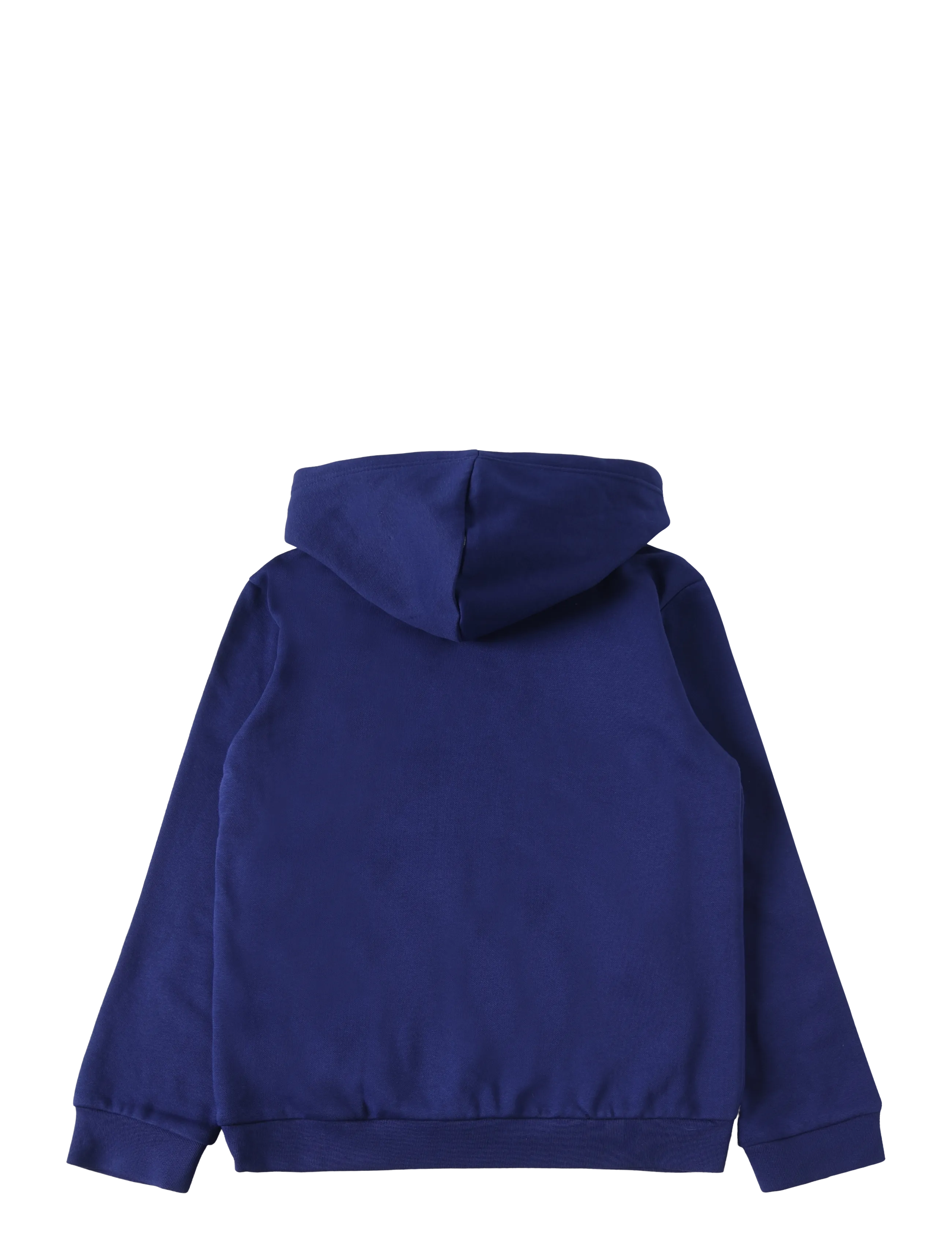 The North Face - TEEN EVOLUTION SIMPLE DOME PULLOVER HOOD - huvtröjor - bold blue - 2