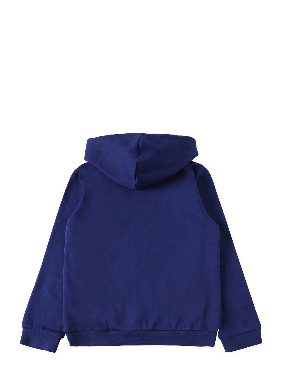 The North Face - TEEN EVOLUTION SIMPLE DOME PULLOVER HOOD - huvtröjor - bold blue - 2