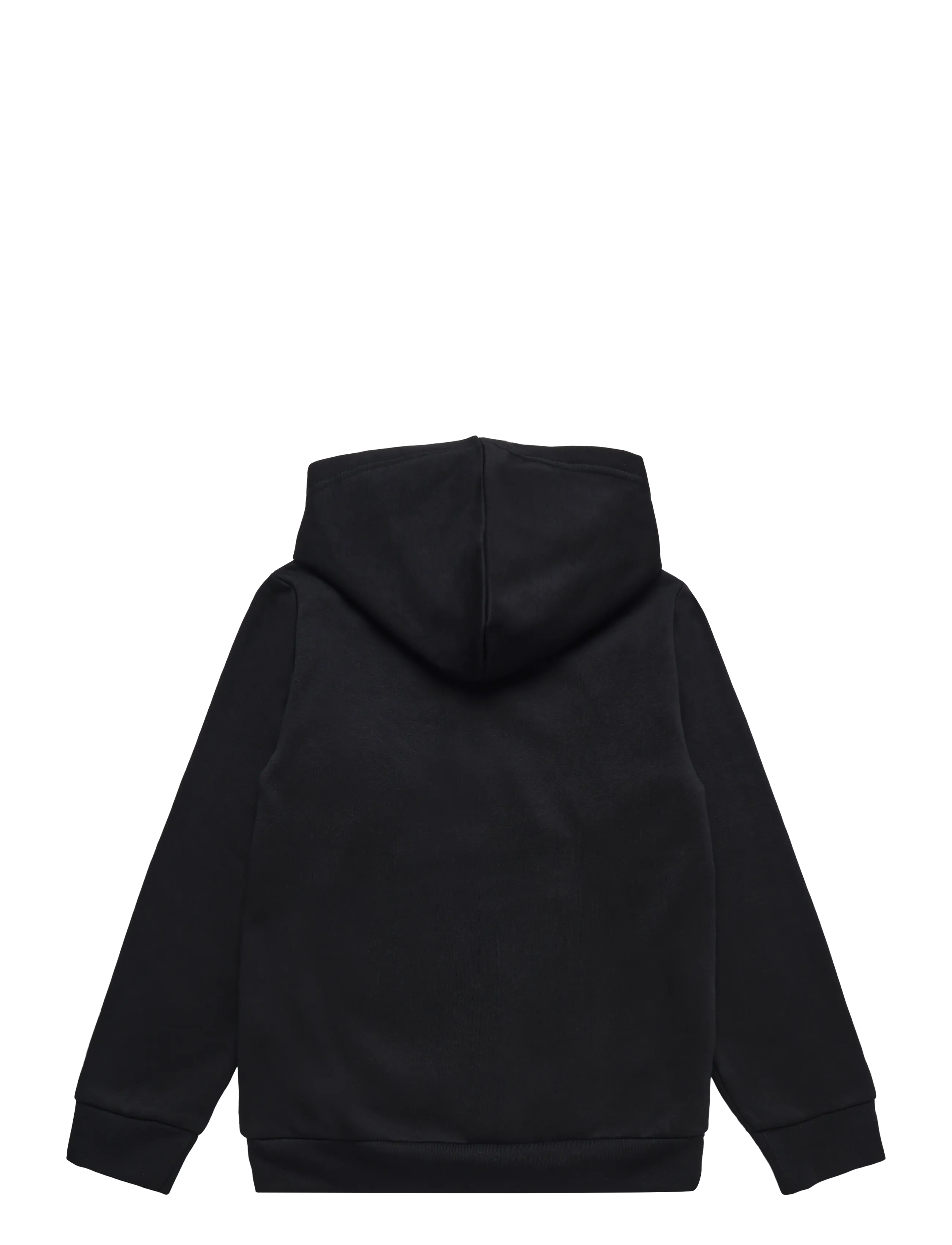 The North Face - TEEN EVOLUTION SIMPLE DOME PULLOVER HOOD - hættetrøjer - tnf black - 2