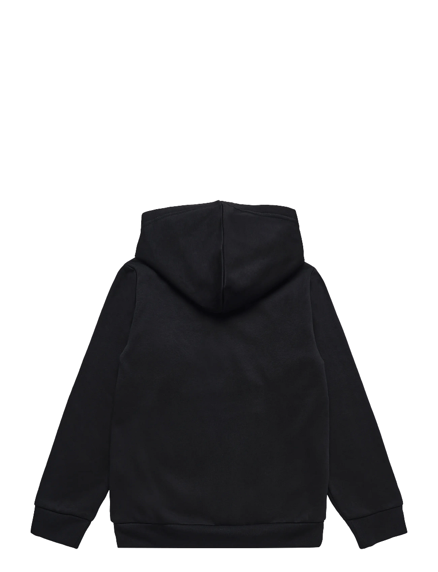 The North Face - TEEN EVOLUTION SIMPLE DOME PULLOVER HOOD - kapuutsiga dressipluusid - tnf black - 2