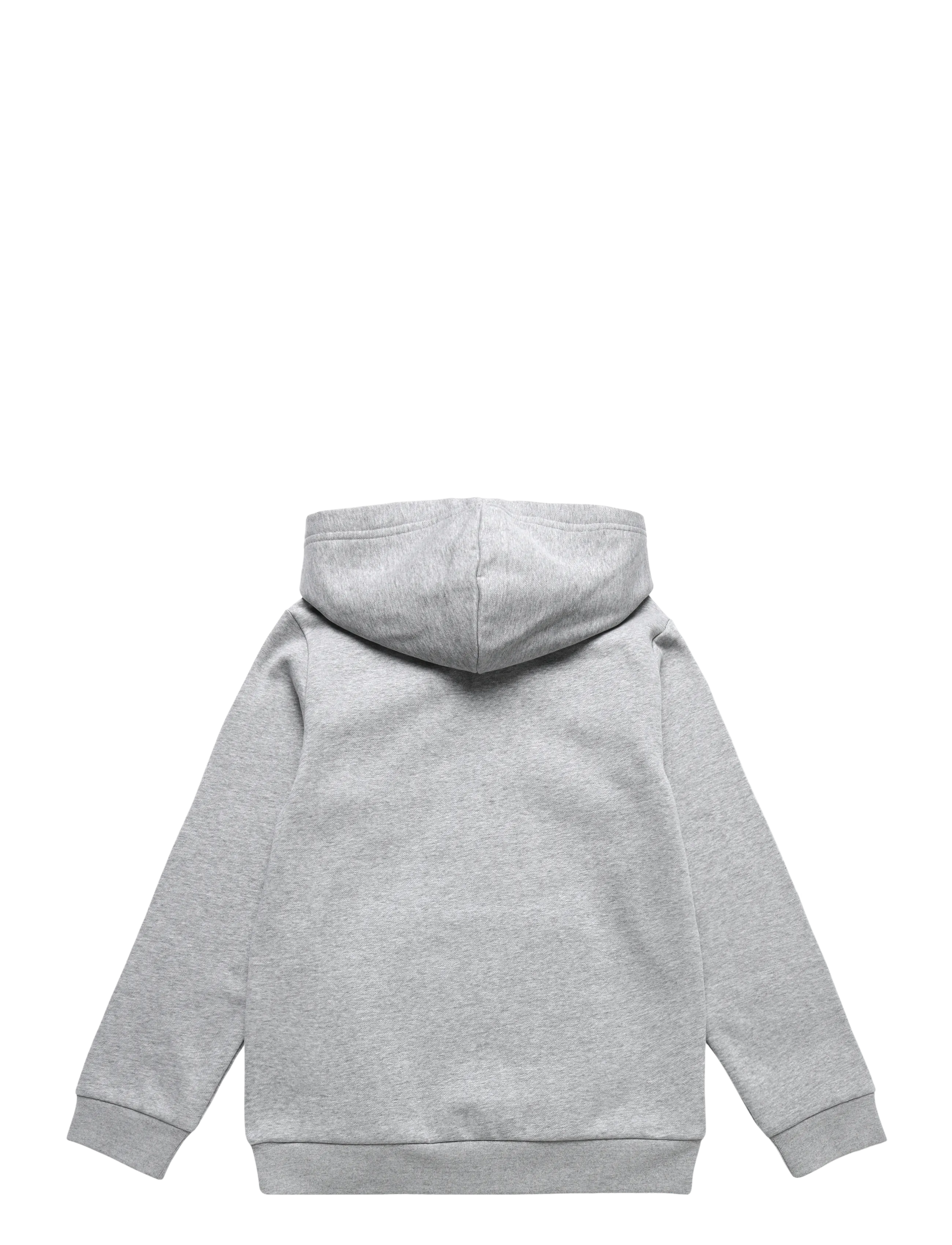The North Face - TEEN EVOLUTION SIMPLE DOME PULLOVER HOOD - hættetrøjer - tnf pale grey heather - 2
