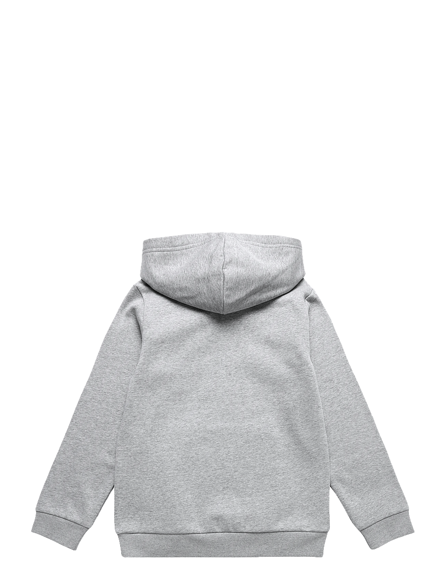 The North Face - TEEN EVOLUTION SIMPLE DOME PULLOVER HOOD - huvtröjor - tnf pale grey heather - 2