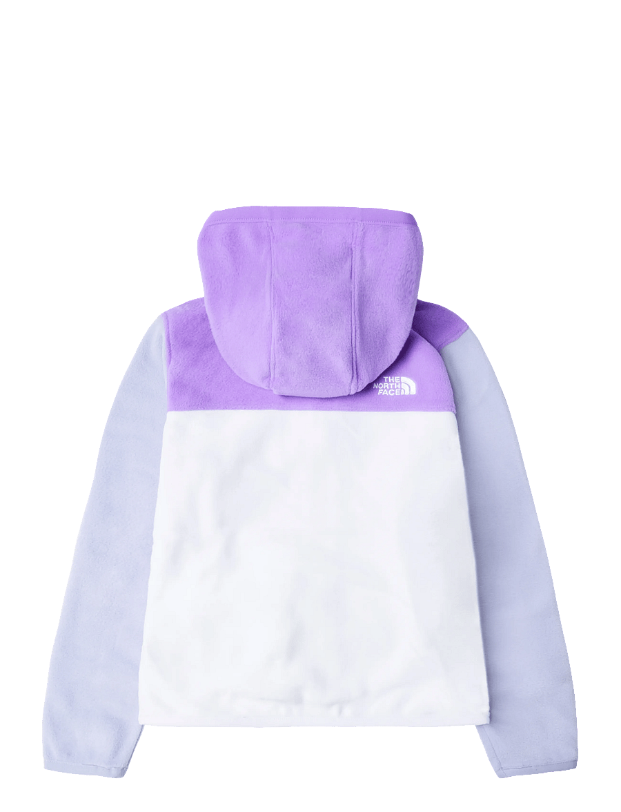 The North Face - KID GLACIER FZ HOODIE - isolerede jakker - elevation purple/ice li - 2