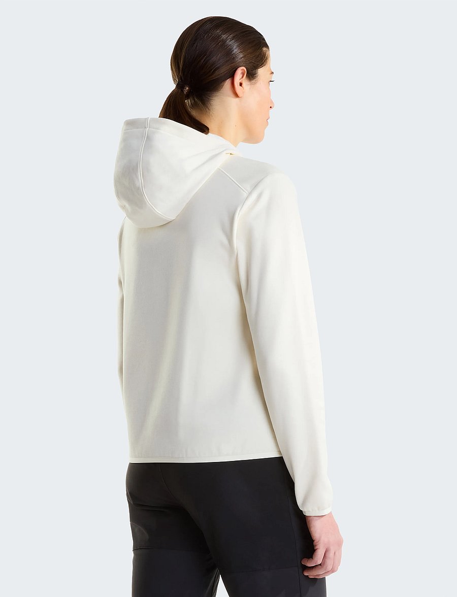 The North Face - W TNF PERFORMANCE FLEECE FULL ZIP HOODIE - kapuutsiga dressipluusid - white dune light heathe - 3