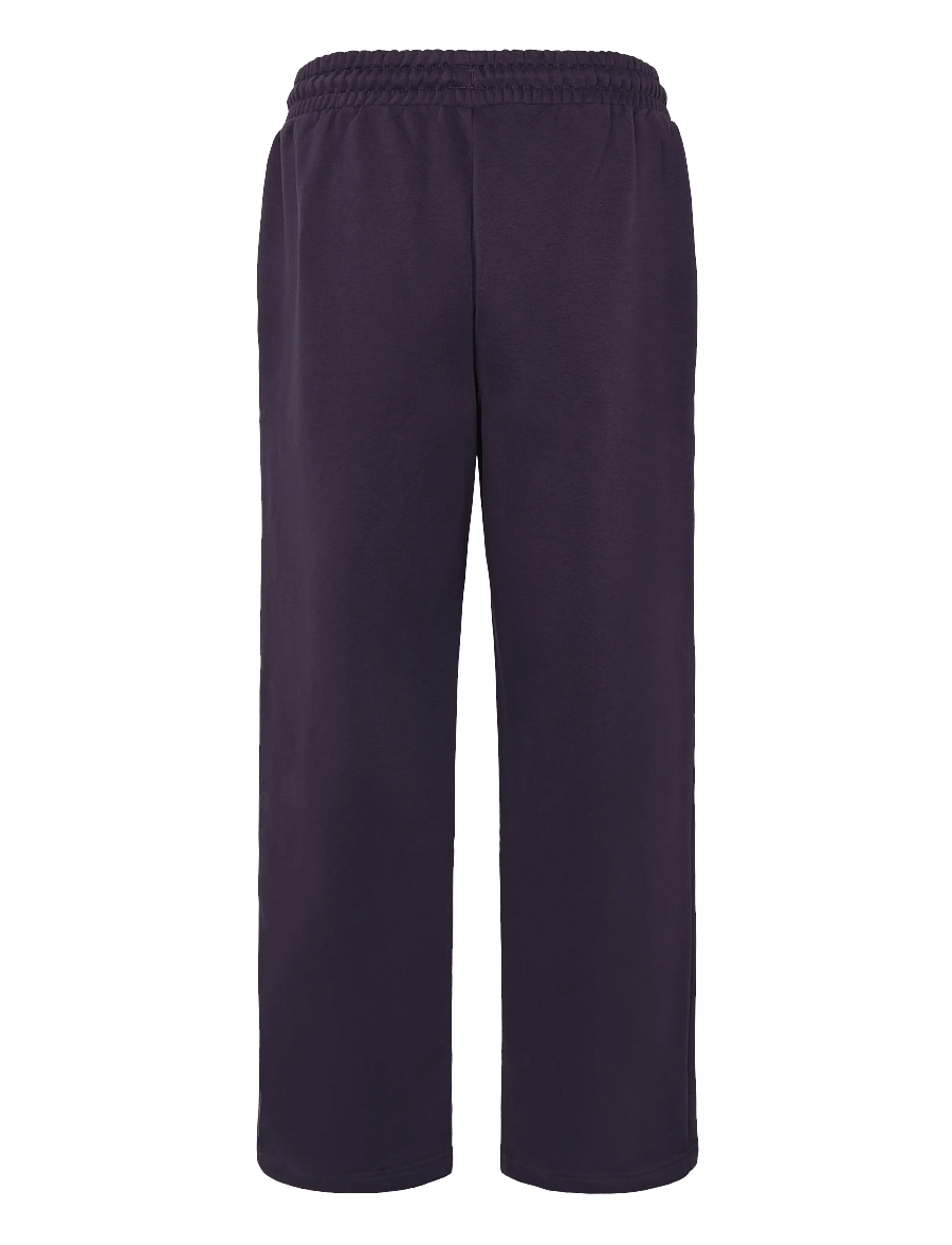 The North Face - W TNF ESSENTIAL SIMPLE DOME STRAIGHT LEG - trennipüksid - endless dusk - 2