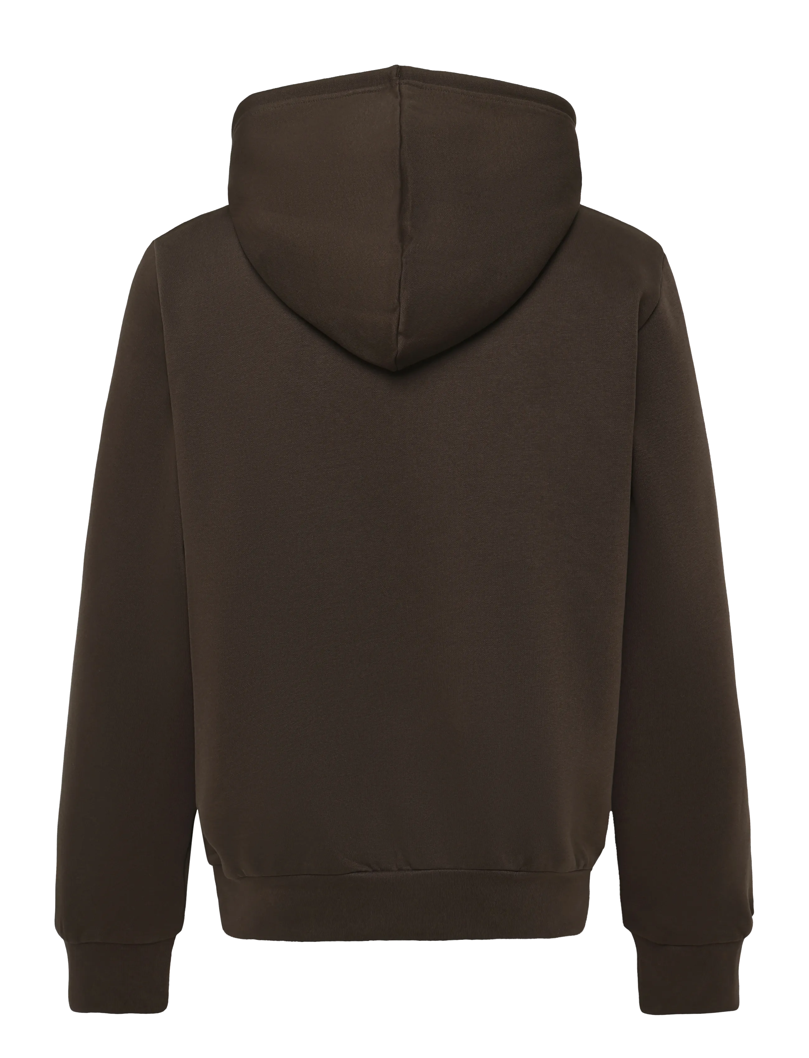 The North Face - M EVOLUTION SIMPLE DOME REGULAR HOODIE - sweatshirts - dark chestnut - 2