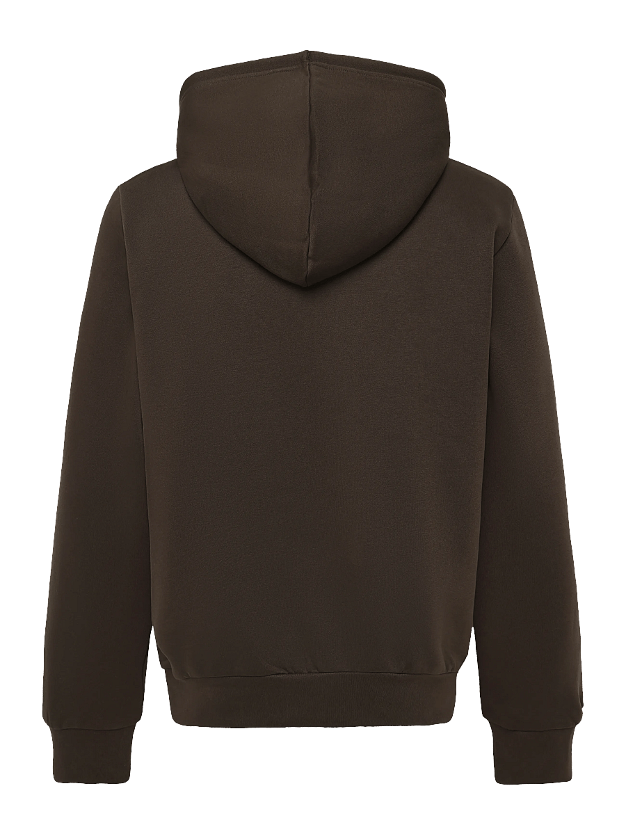 The North Face - M EVOLUTION SIMPLE DOME REGULAR HOODIE - sweatshirts - dark chestnut - 2