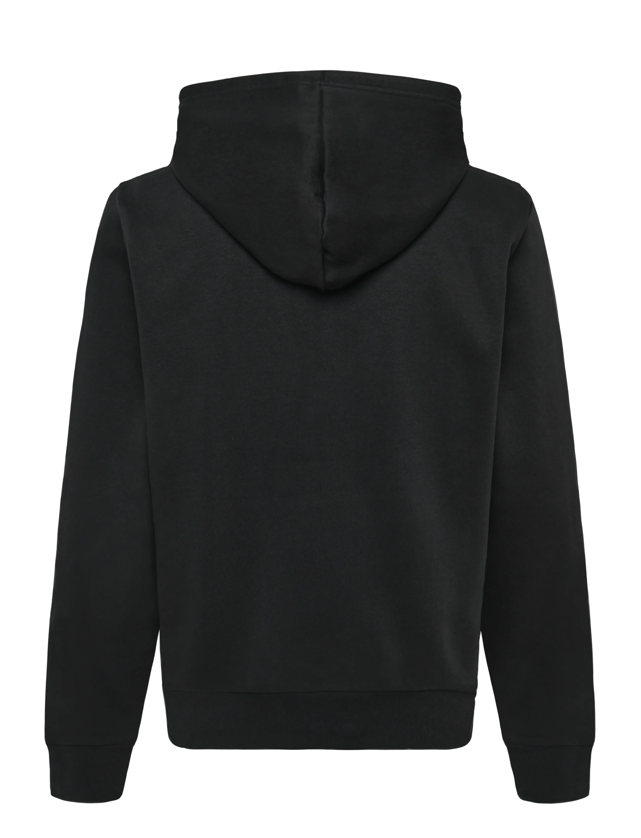 The North Face - M EVOLUTION SIMPLE DOME REGULAR HOODIE - sweatshirts - tnf black - 2