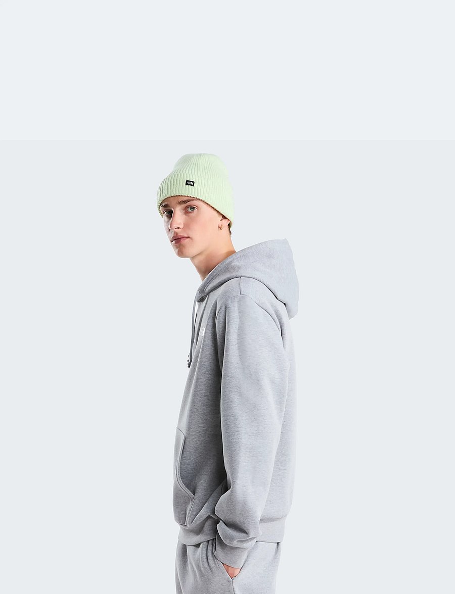 The North Face - M EVOLUTION SIMPLE DOME REGULAR HOODIE - sweatshirts - tnf pale grey heather - 4