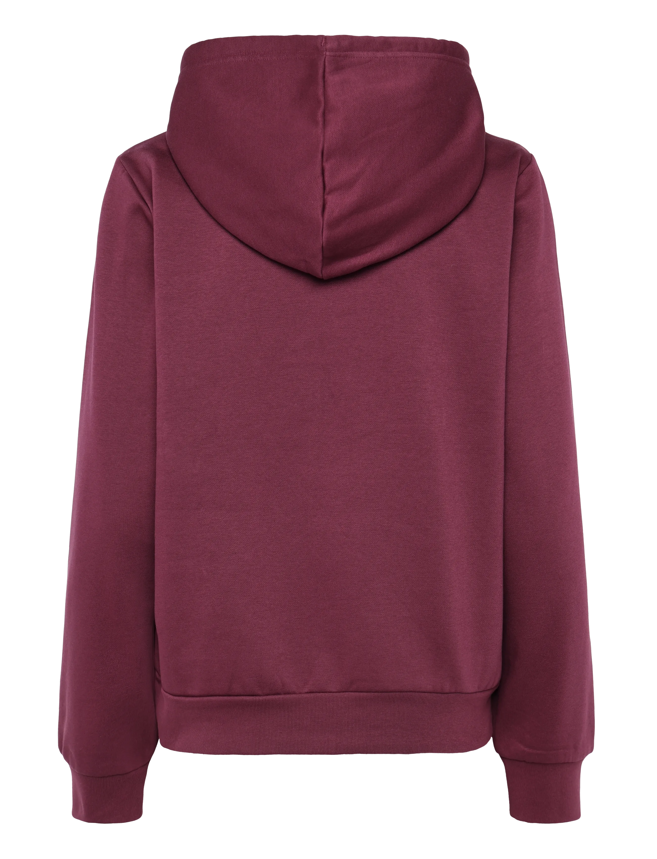 The North Face - W EVOLUTION SIMPLE DOME REGULAR HOODIE - kapuutsiga dressipluusid - burgundy crush - 1