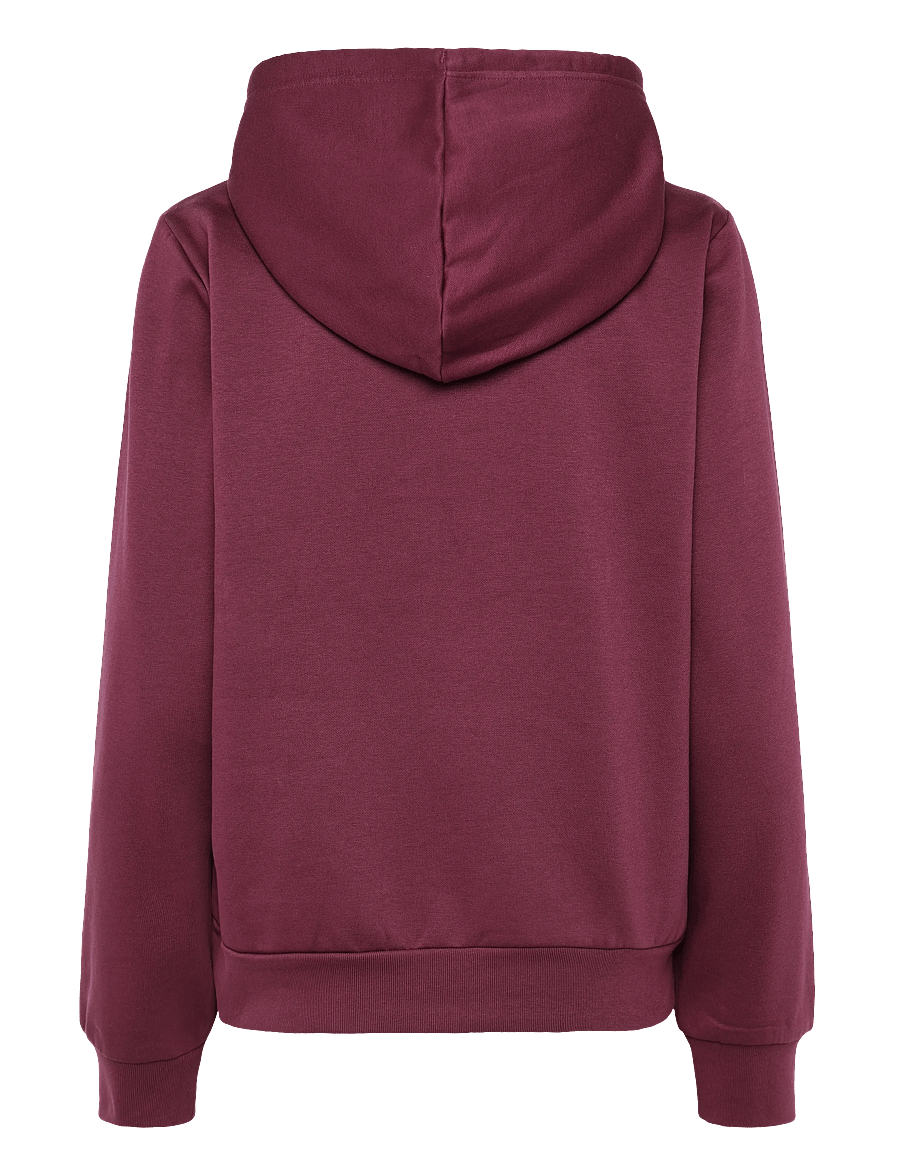 The North Face - W EVOLUTION SIMPLE DOME REGULAR HOODIE - kapuutsiga dressipluusid - burgundy crush - 1