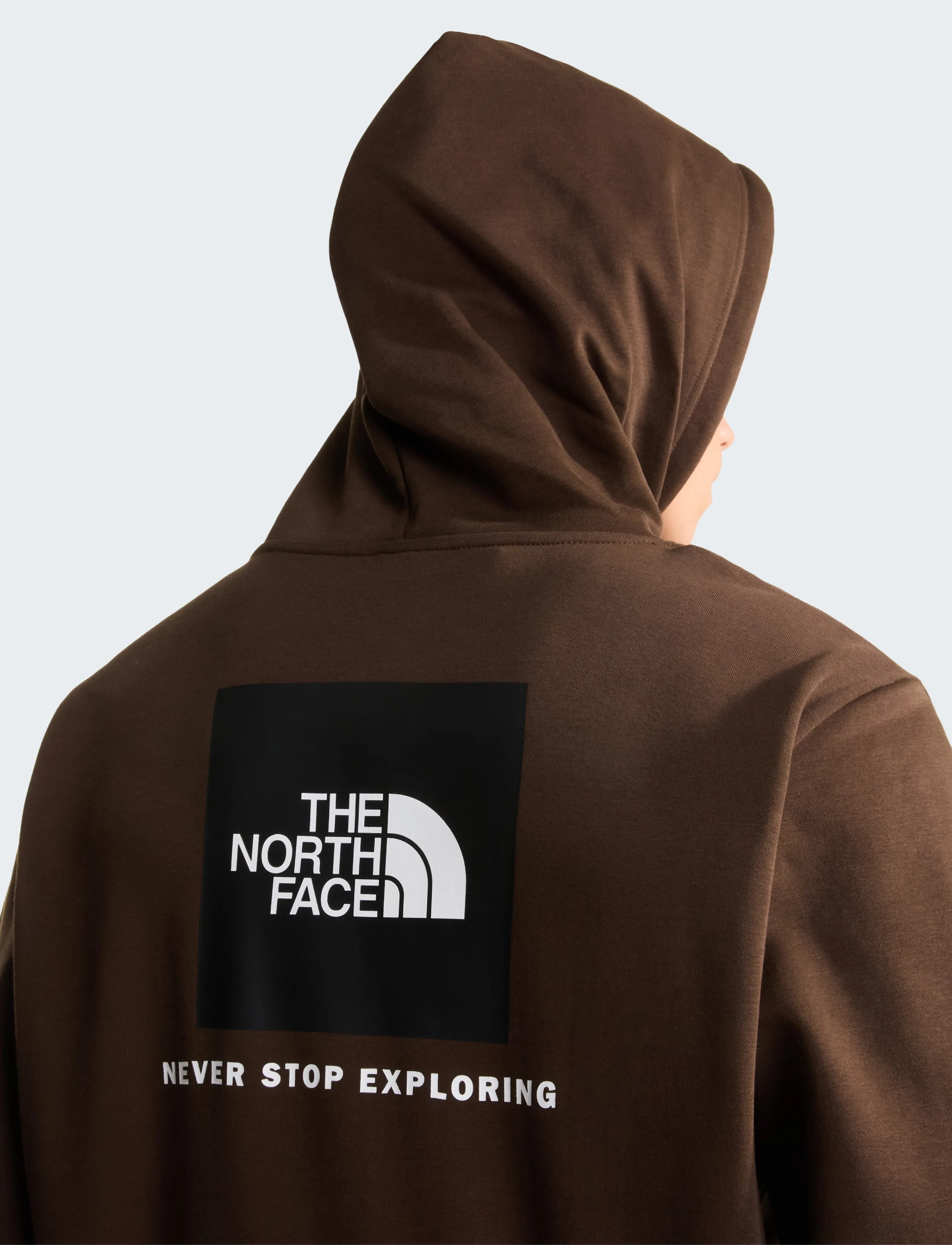 The North Face M EVOLUTION BOX NSE REGULAR HOODIE - Tänavastiil - DARK CHESTNUT / brown