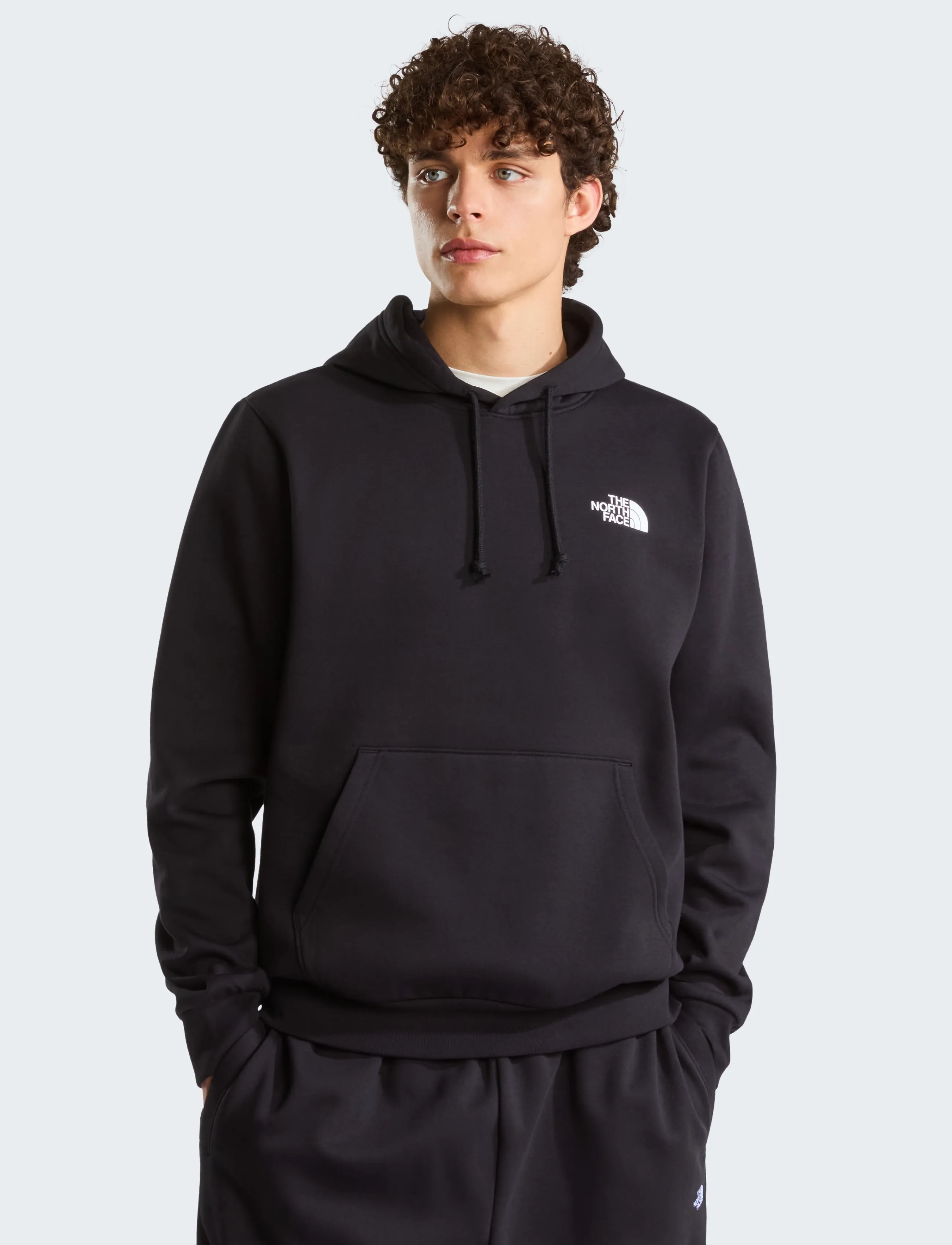 The North Face - M EVOLUTION BOX NSE REGULAR HOODIE - sweatshirts - tnf black - 3