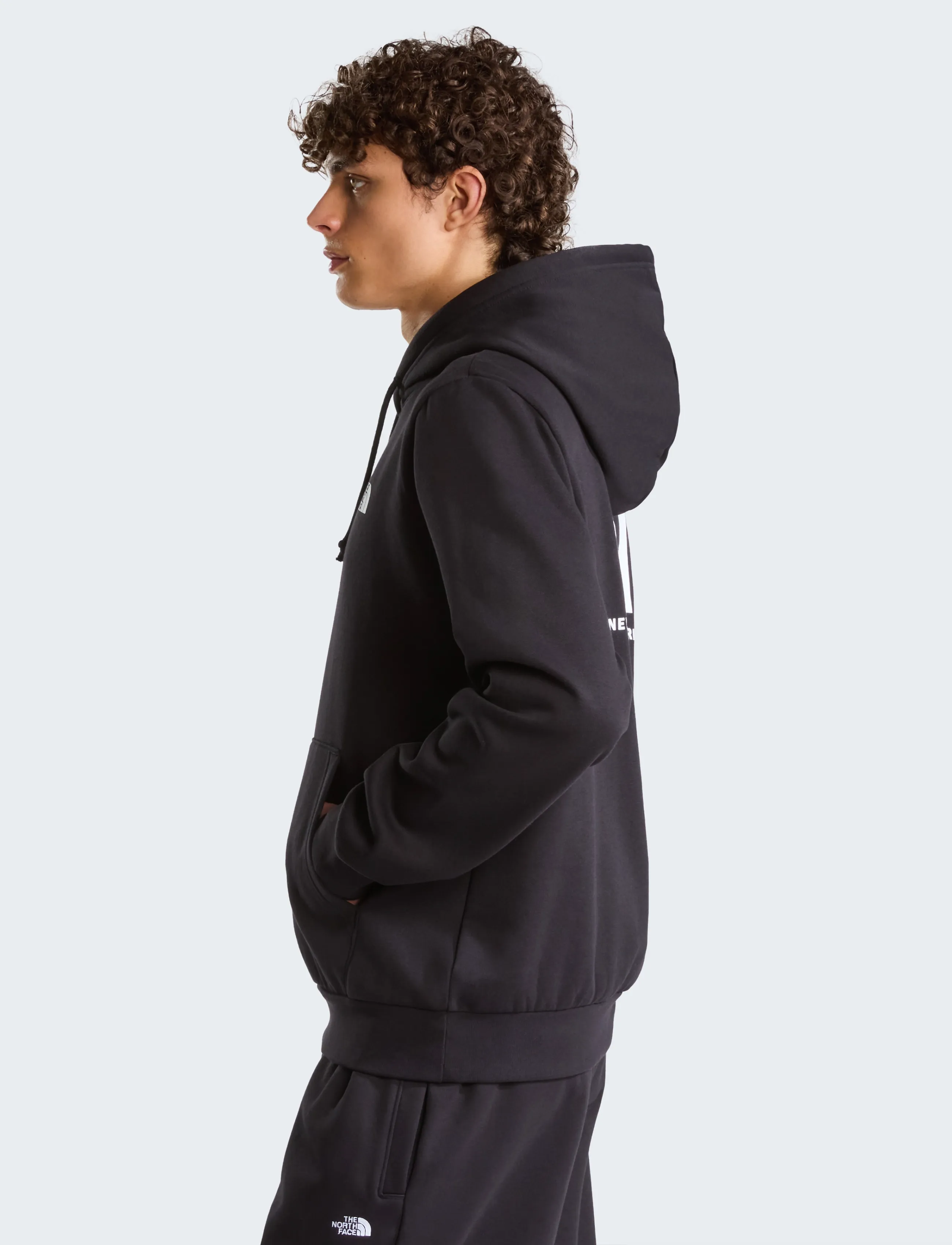 The North Face - M EVOLUTION BOX NSE REGULAR HOODIE - sweatshirts - tnf black - 5