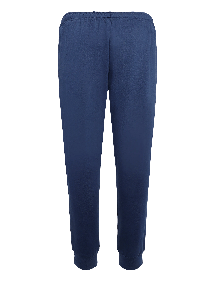 The North Face - M EVOLUTION SIMPLE DOME REGULAR JOGGER - pants - summit navy - 2