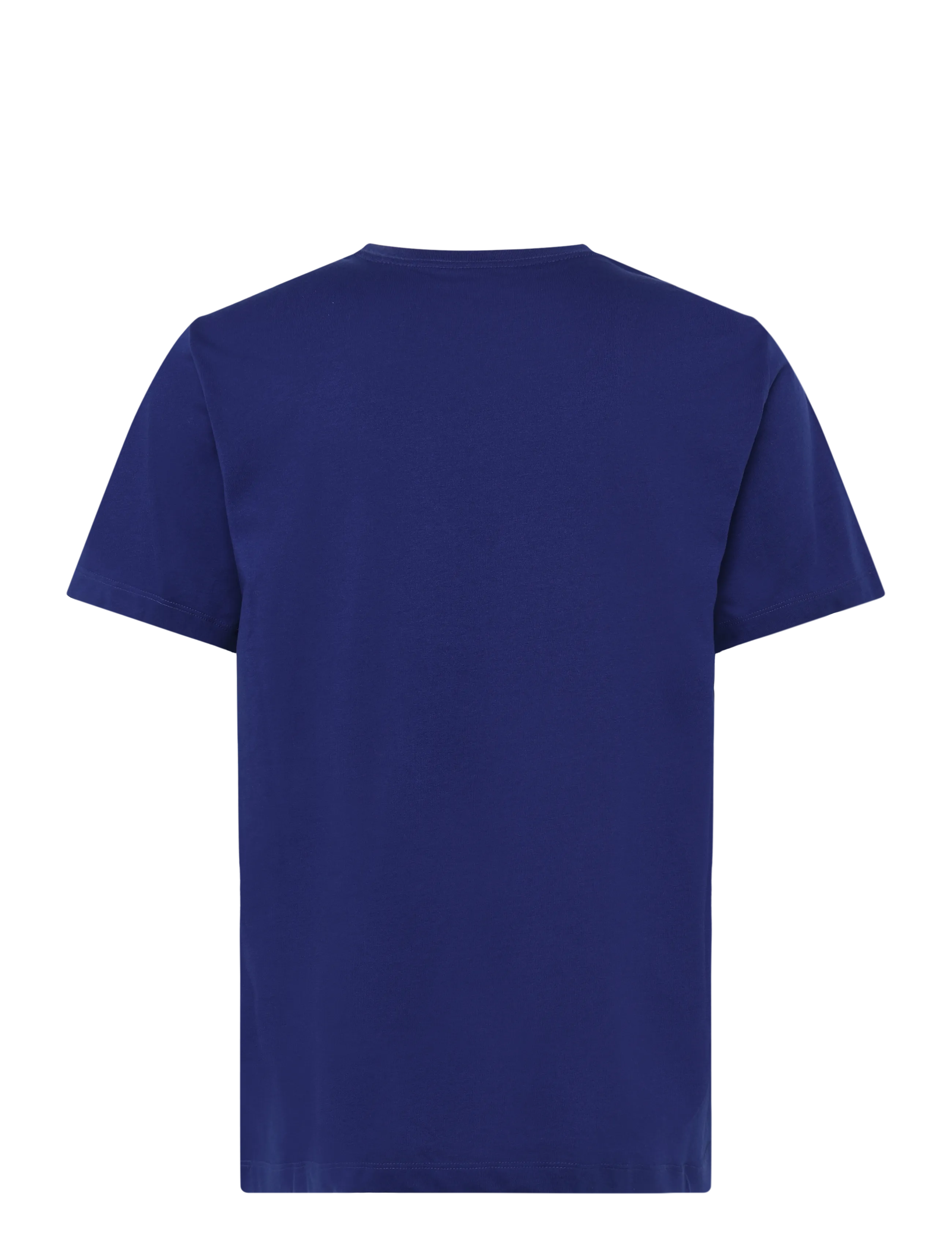 The North Face - M EVOLUTION SIMPLE DOME REGULAR SHORT SL - oberteile & t-shirts - bold blue - 2