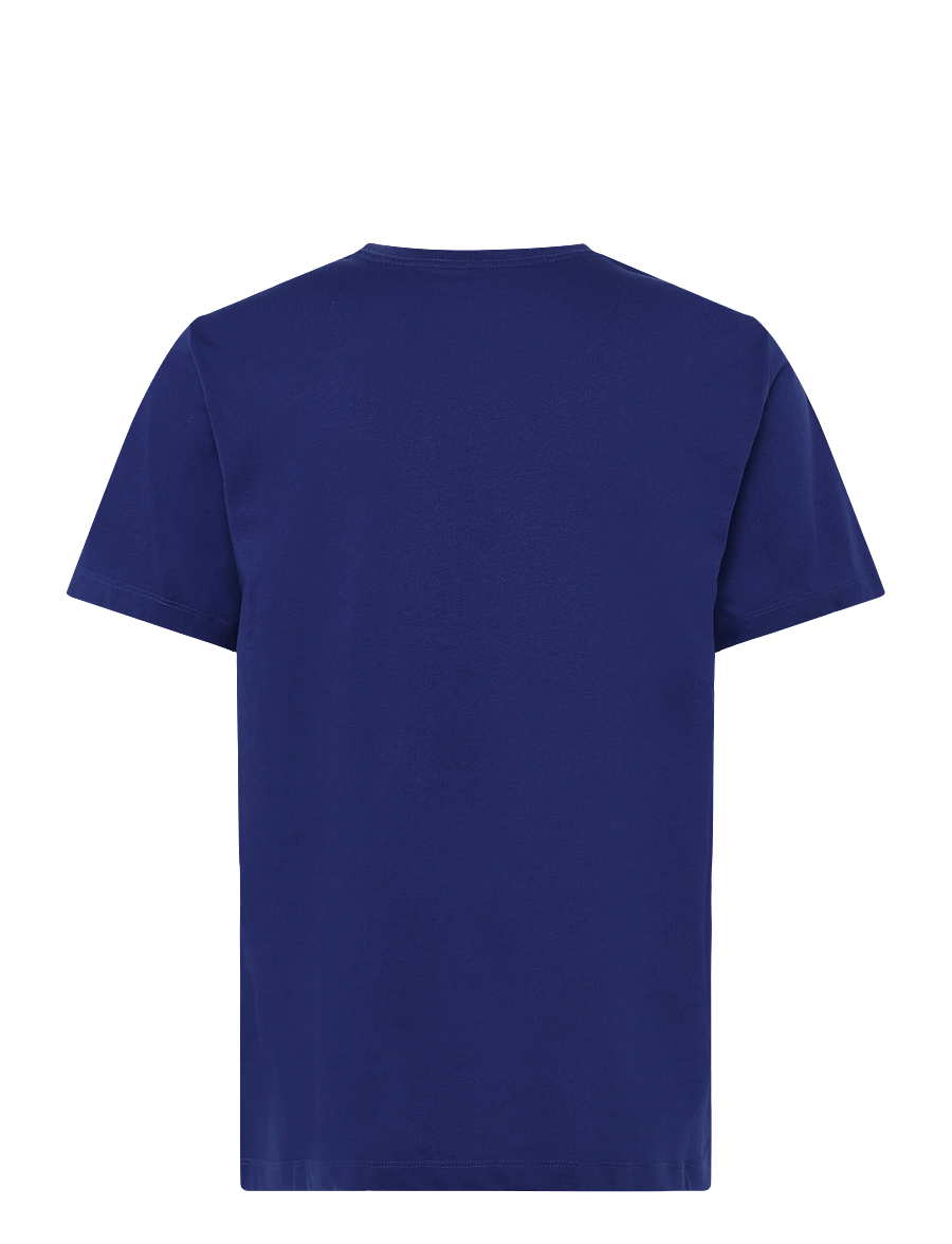 The North Face - M EVOLUTION SIMPLE DOME REGULAR SHORT SL - oberteile & t-shirts - bold blue - 2