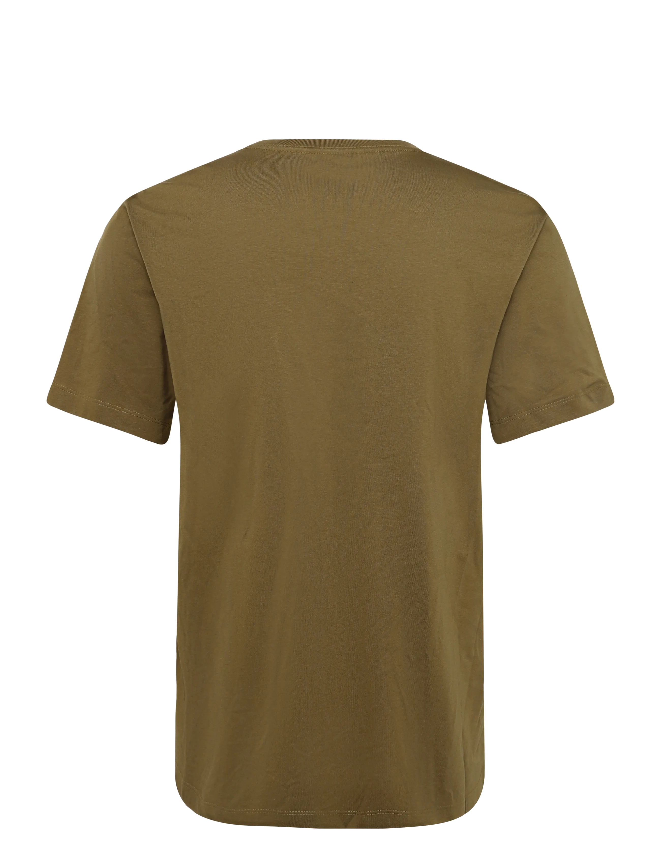 The North Face - M EVOLUTION SIMPLE DOME REGULAR SHORT SL - t-shirts - caraway seed - 2