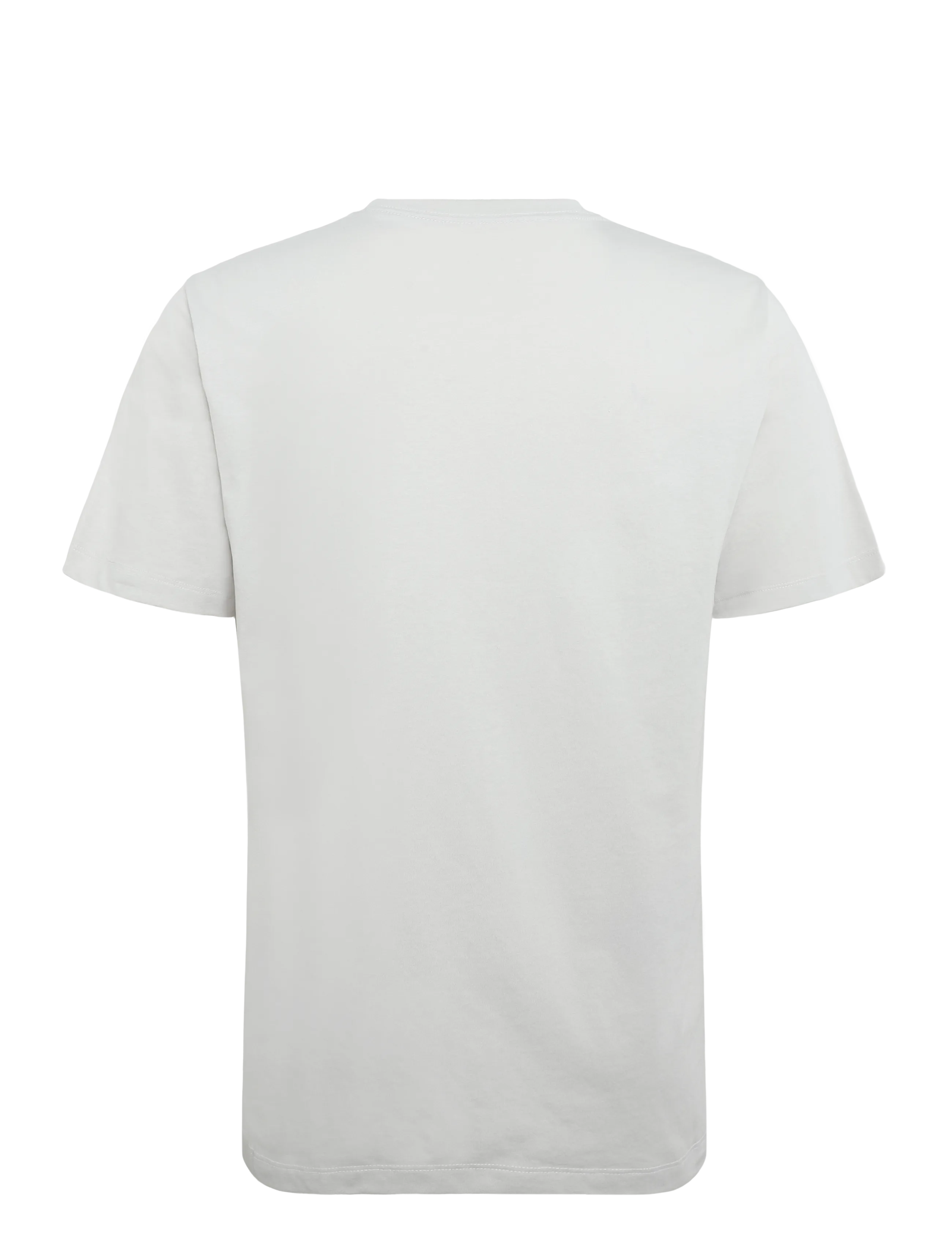The North Face - M EVOLUTION SIMPLE DOME REGULAR SHORT SL - tops & t-shirts - cumulus cloud - 2