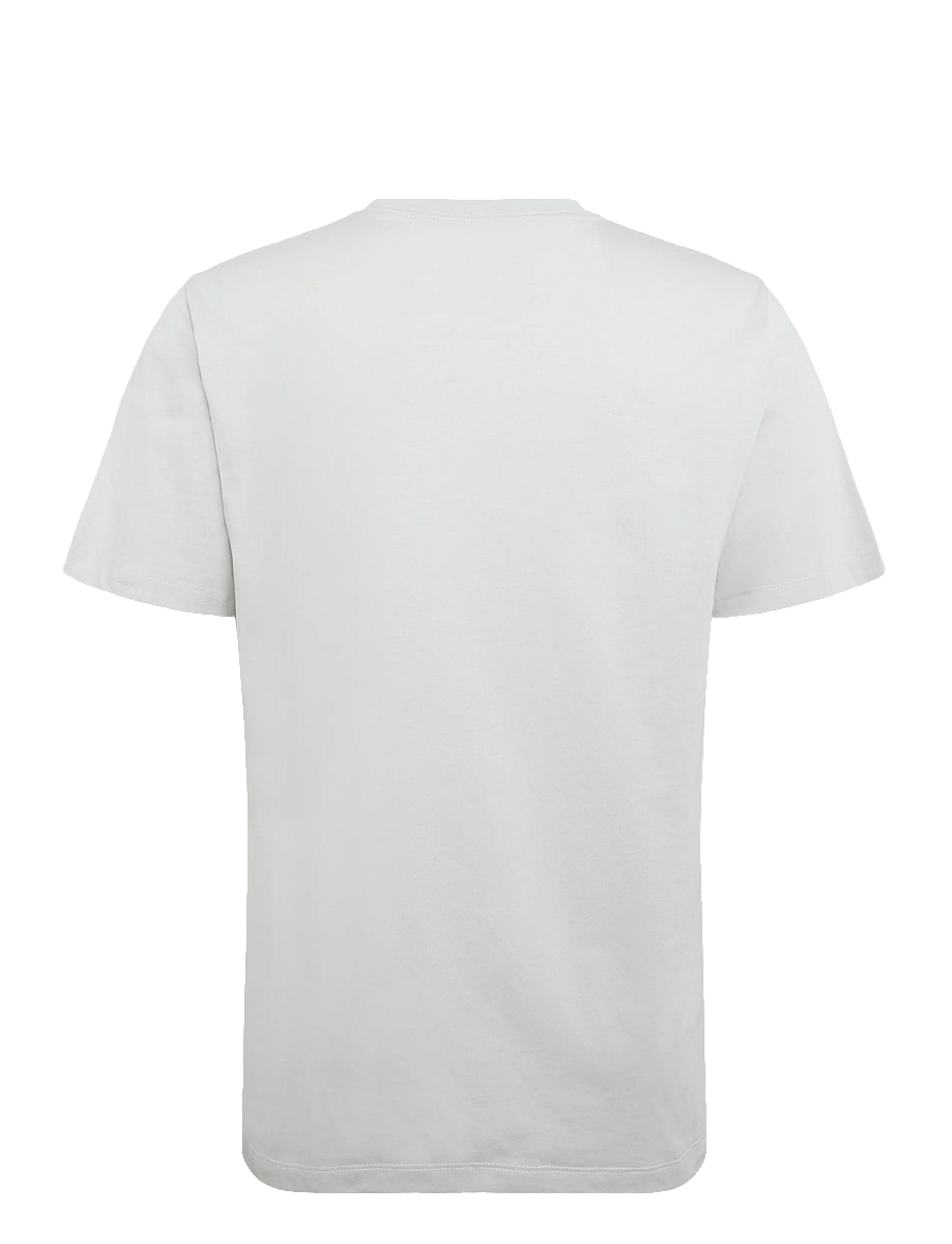 The North Face - M EVOLUTION SIMPLE DOME REGULAR SHORT SL - oberteile & t-shirts - cumulus cloud - 2