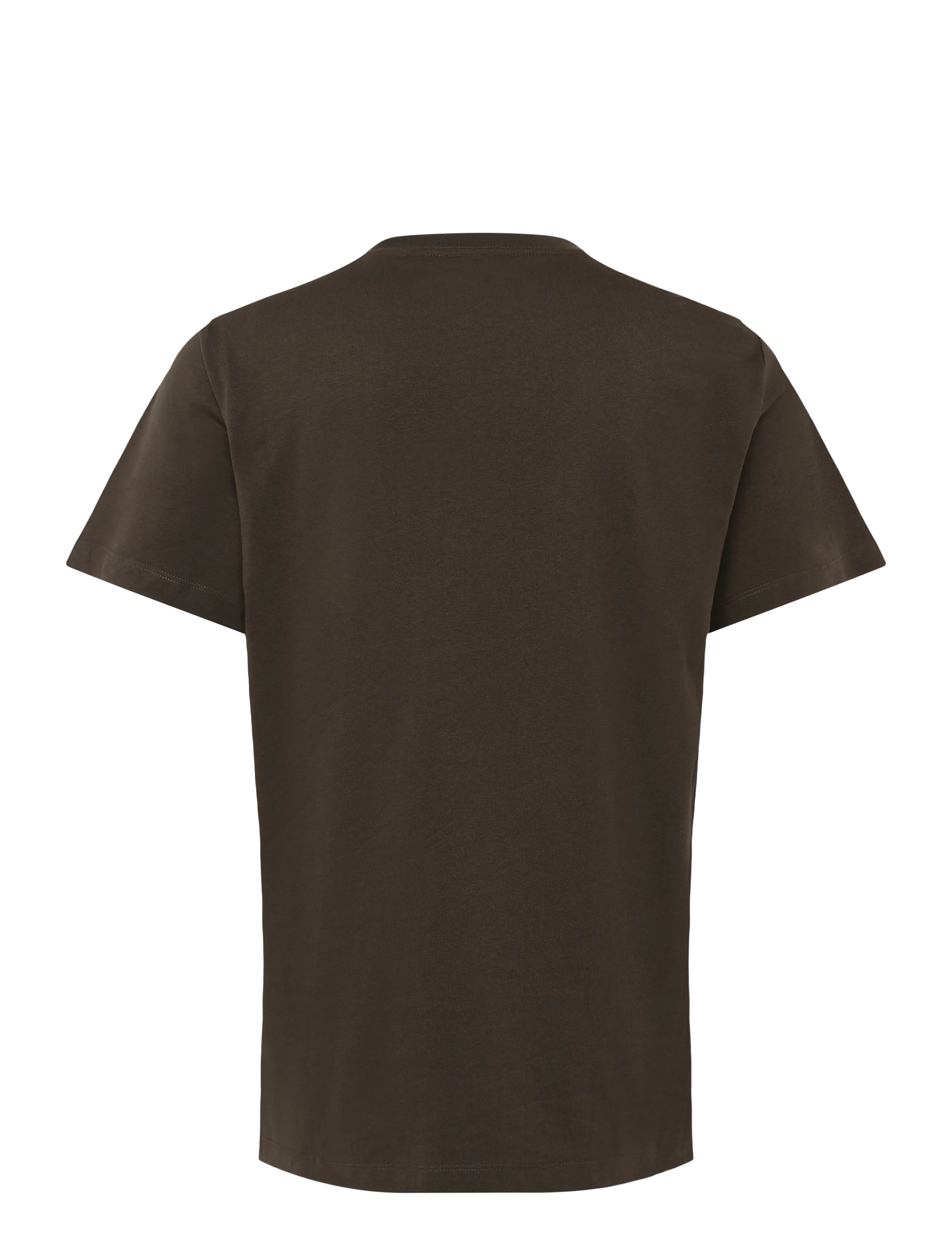 The North Face - M EVOLUTION SIMPLE DOME REGULAR SHORT SL - oberteile & t-shirts - dark chestnut - 2